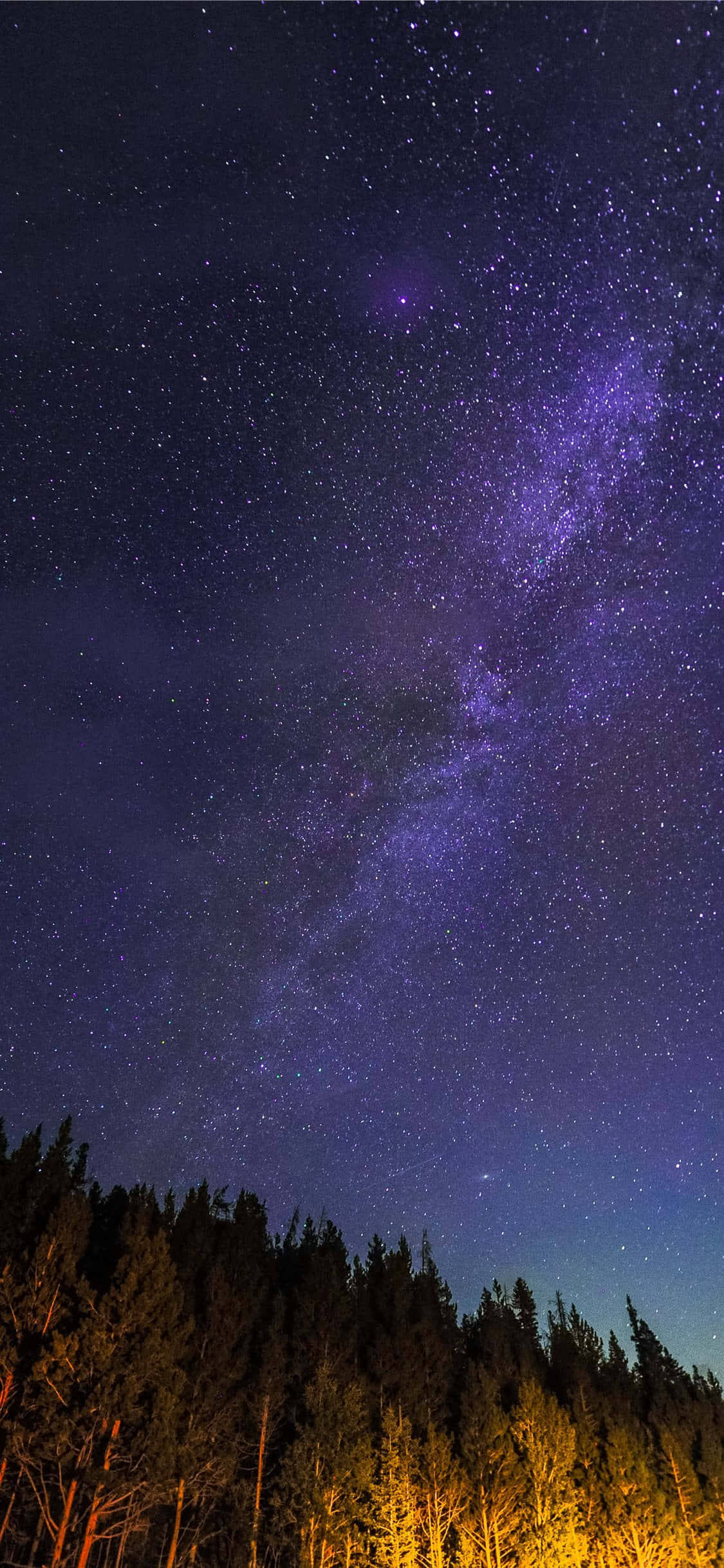 Starry_ Night_ Over_ Forest.JPG วอลเปเปอร์