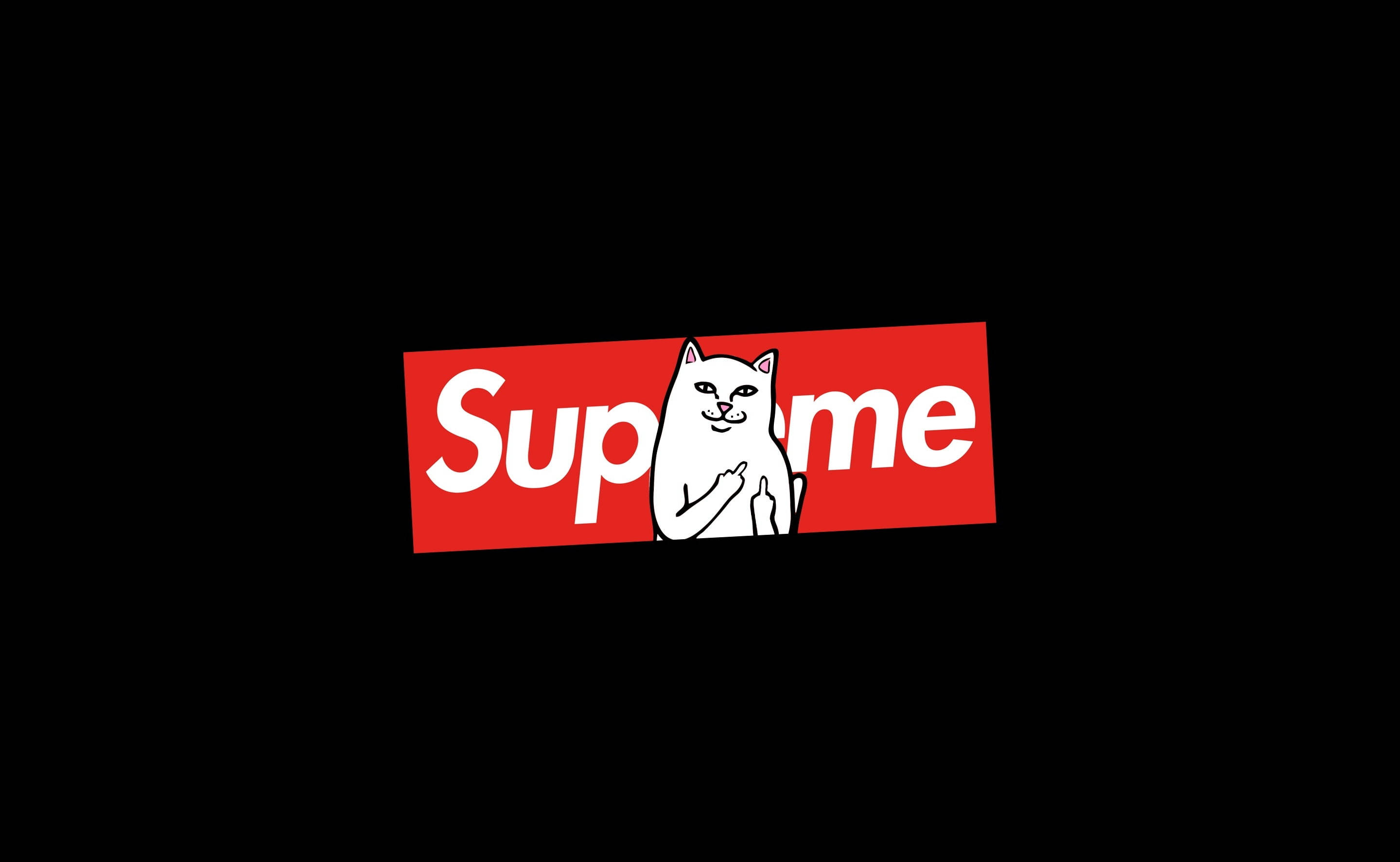 แมวนั่งบนแล็ปท็อป Supreme วอลเปเปอร์