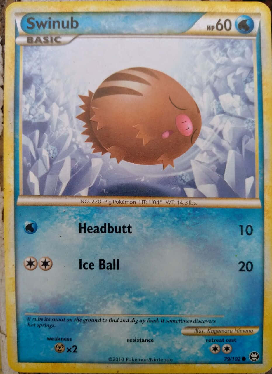 Swinub 2010 การ์ด วอลเปเปอร์