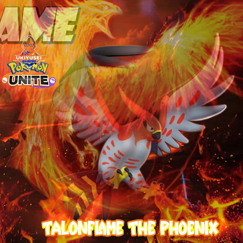Talonflame ฟีนิกซ์ โปเกมอน ยูไนท์ วอลเปเปอร์
