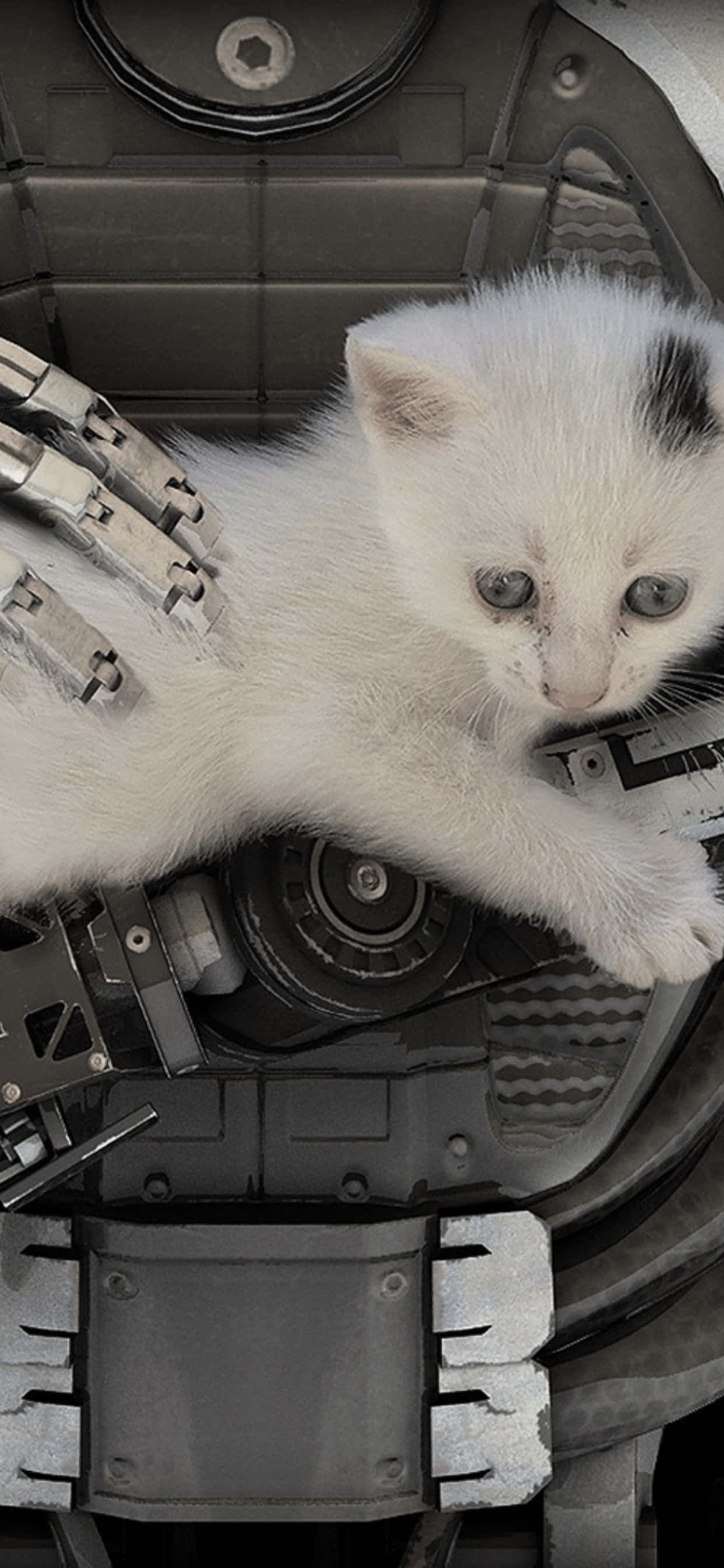 โลกอันตระการตาแห่ง The Talos Principle บน iPhone XS Max วอลเปเปอร์