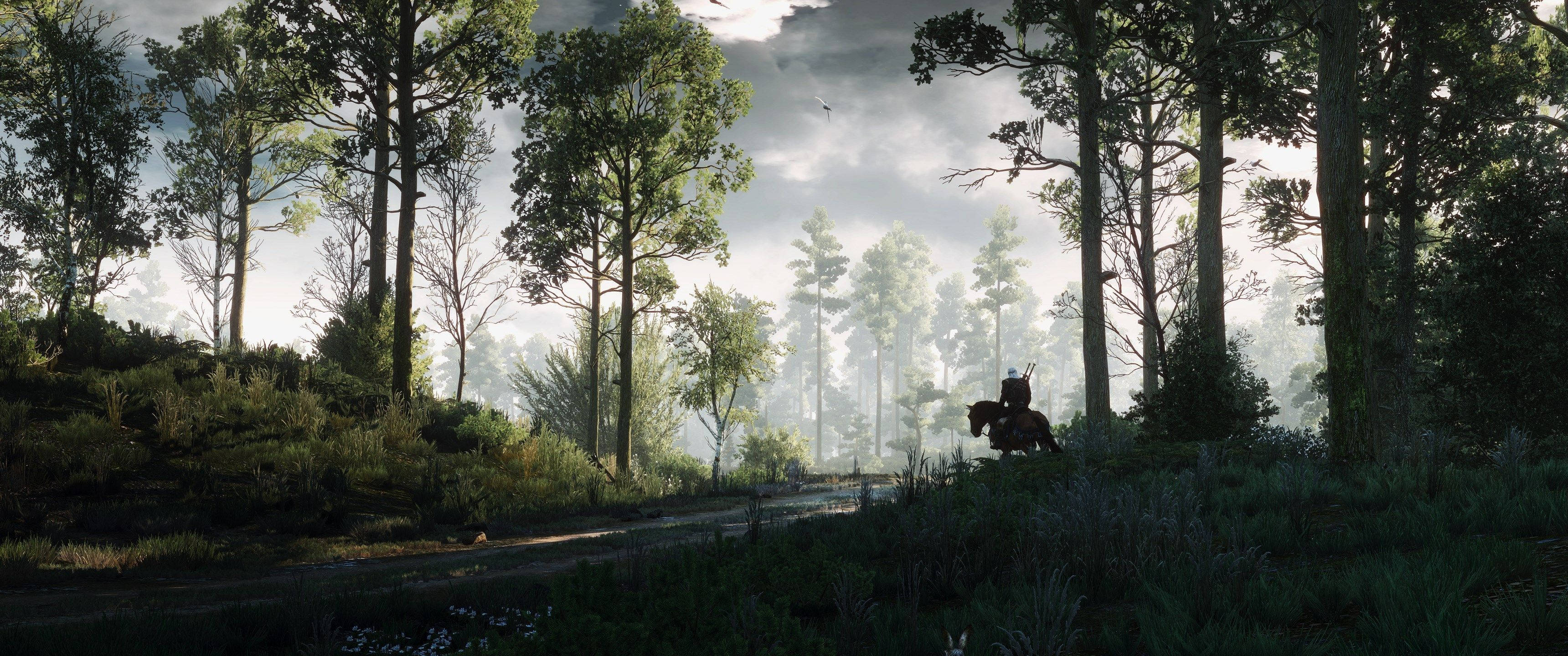 สำผัสป่าลึกลับจากวิดีโอเกม The Witcher วอลเปเปอร์