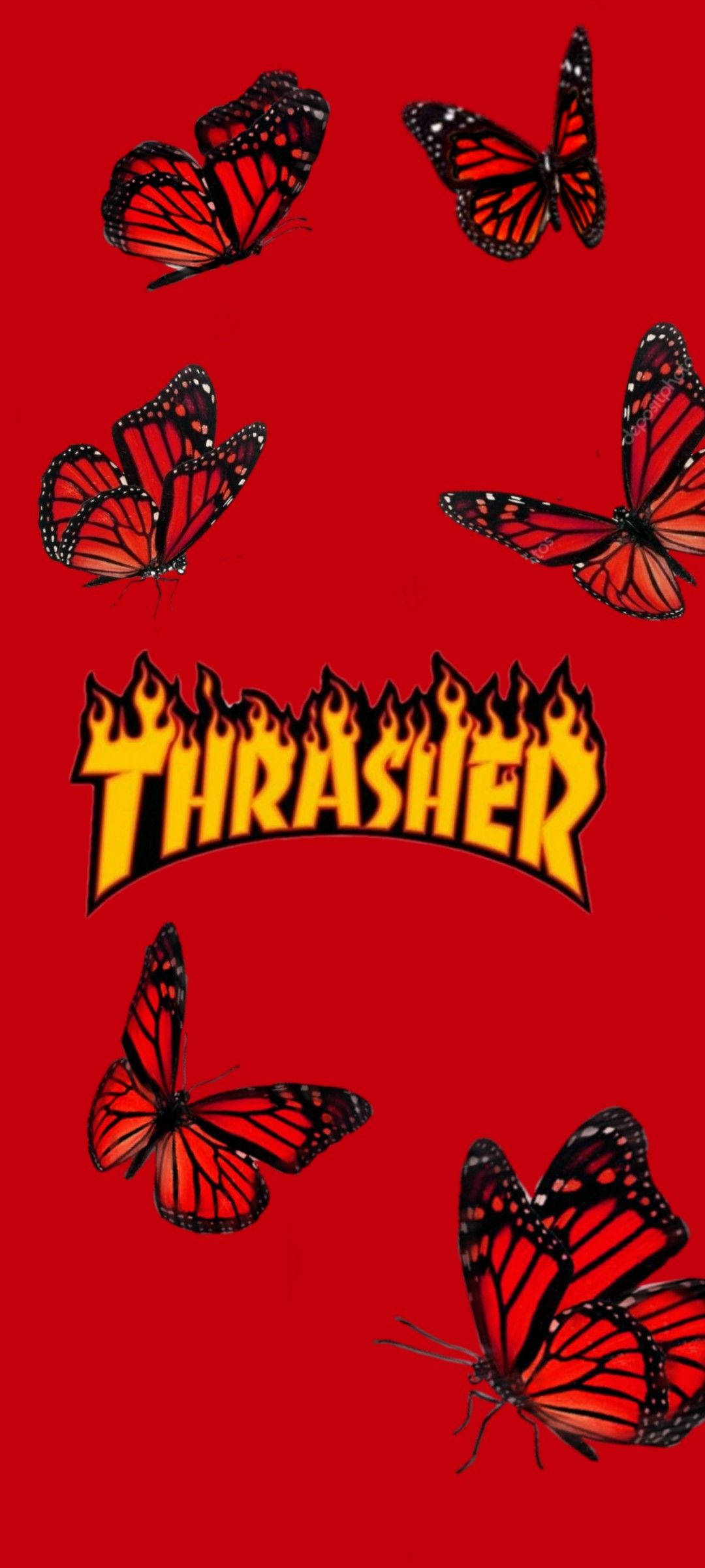 Thrasher ผีเสื้อสีแดง วอลเปเปอร์