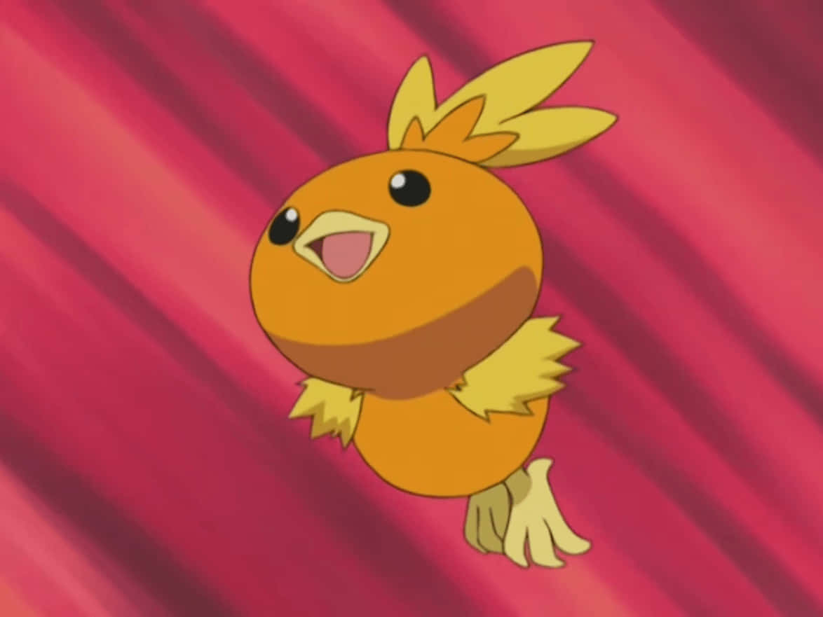 Torchic กระโดดบนพื้นหลังสีแดง วอลเปเปอร์