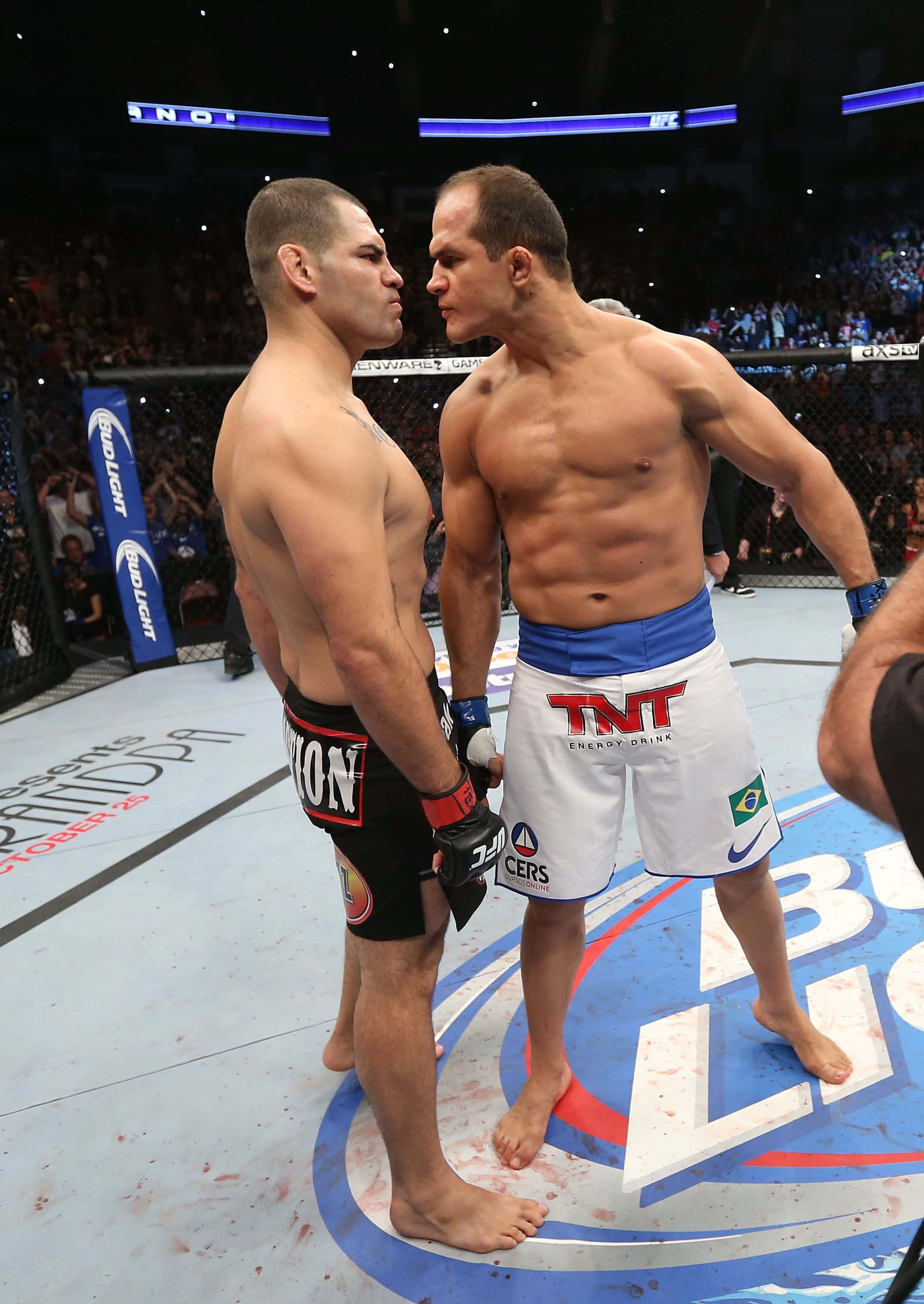 จูเนียร์ ดอส ซานโตส UFC ออน ฟ็อกซ์ 1 วอลเปเปอร์