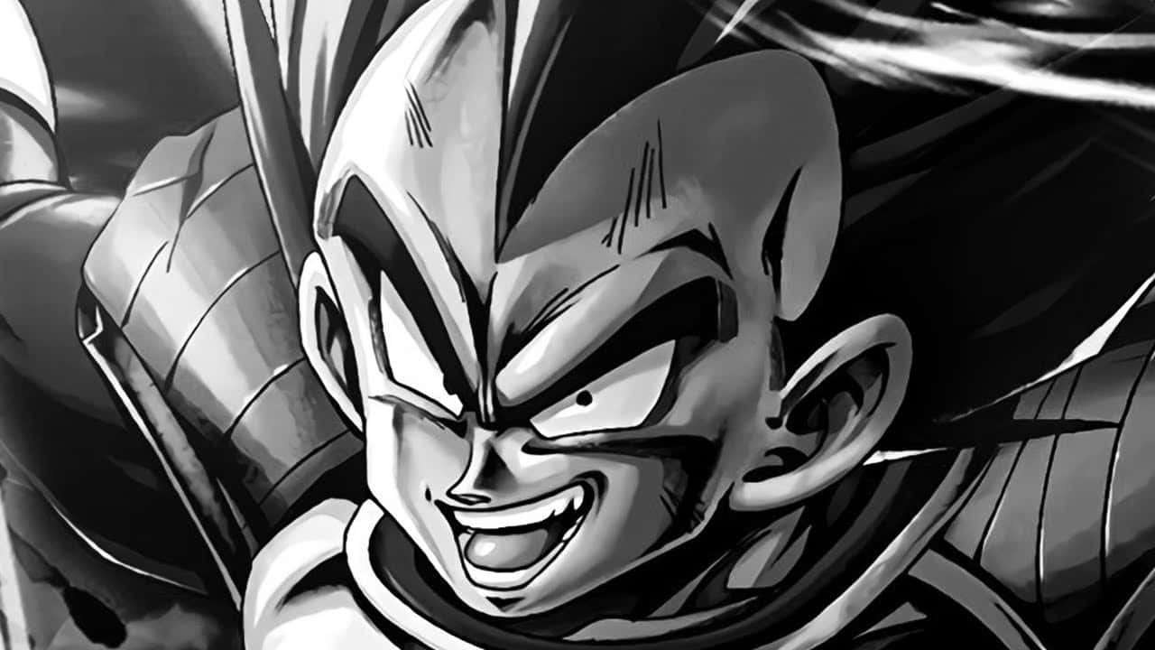 Vegeta เตรียมปลดปล่อยพลังในรูปแบบขาวดำ วอลเปเปอร์