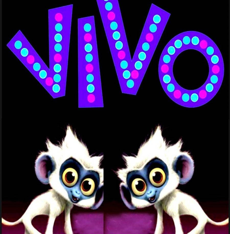 ภาพยนตร์ Vivo ปี 2021 วอลเปเปอร์