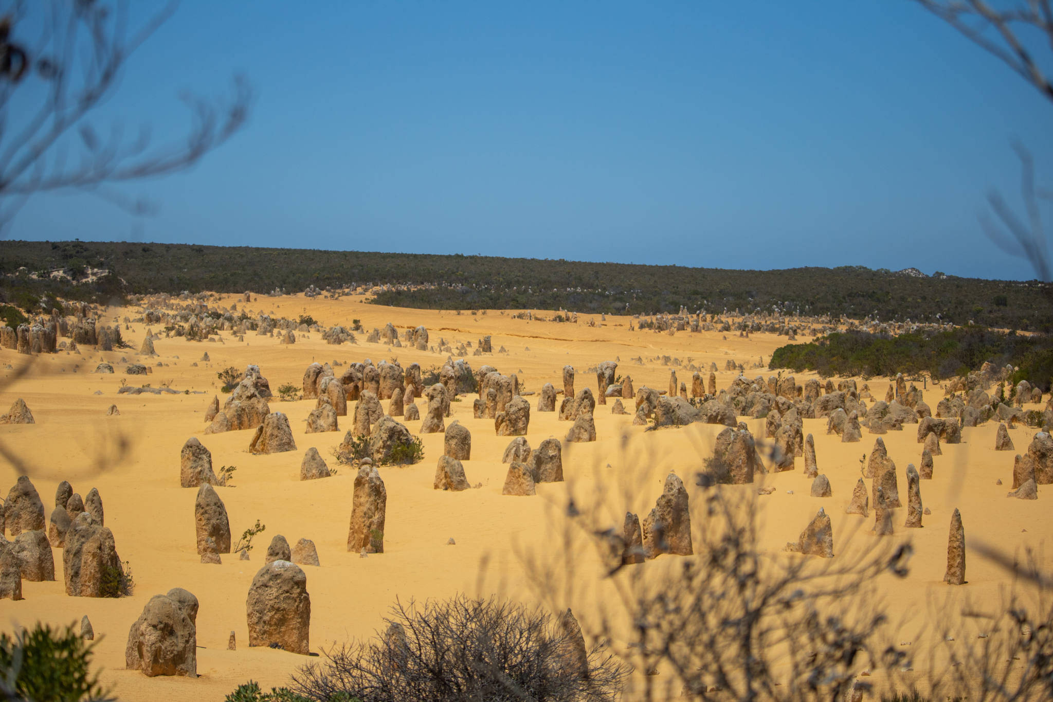 อุทยานแห่งชาติ Yanchep เพิร์ธ วอลเปเปอร์