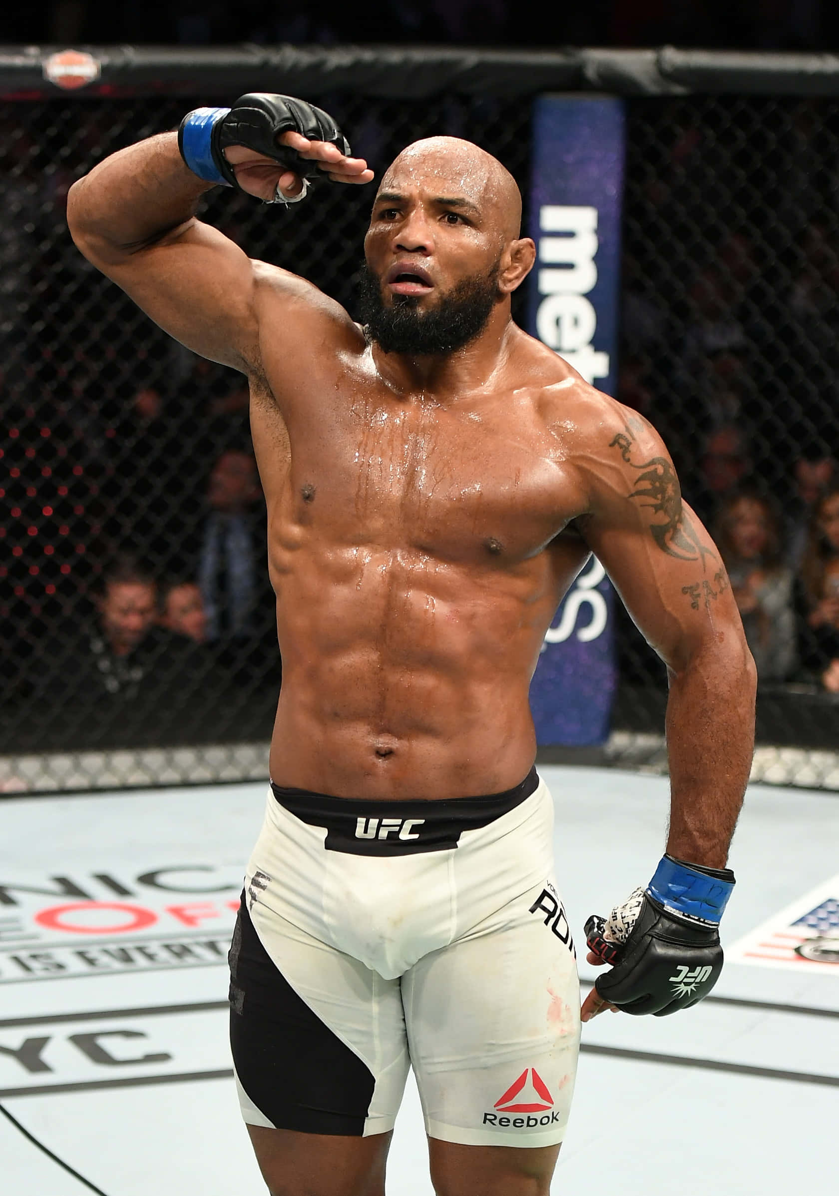 Yoel Romero ทักทายในศึก UFC 205 วอลเปเปอร์