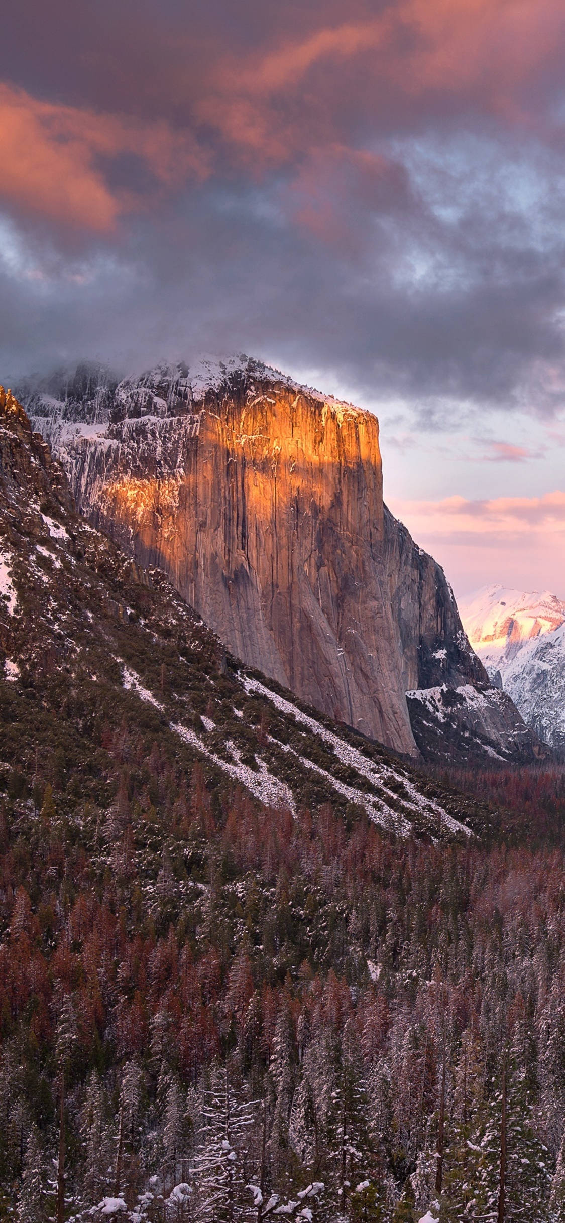 ทิวทัศน์สวยงามของอุทยานแห่งชาติ Yosemite ที่เห็นผ่านเลนส์ของ iPhone วอลเปเปอร์