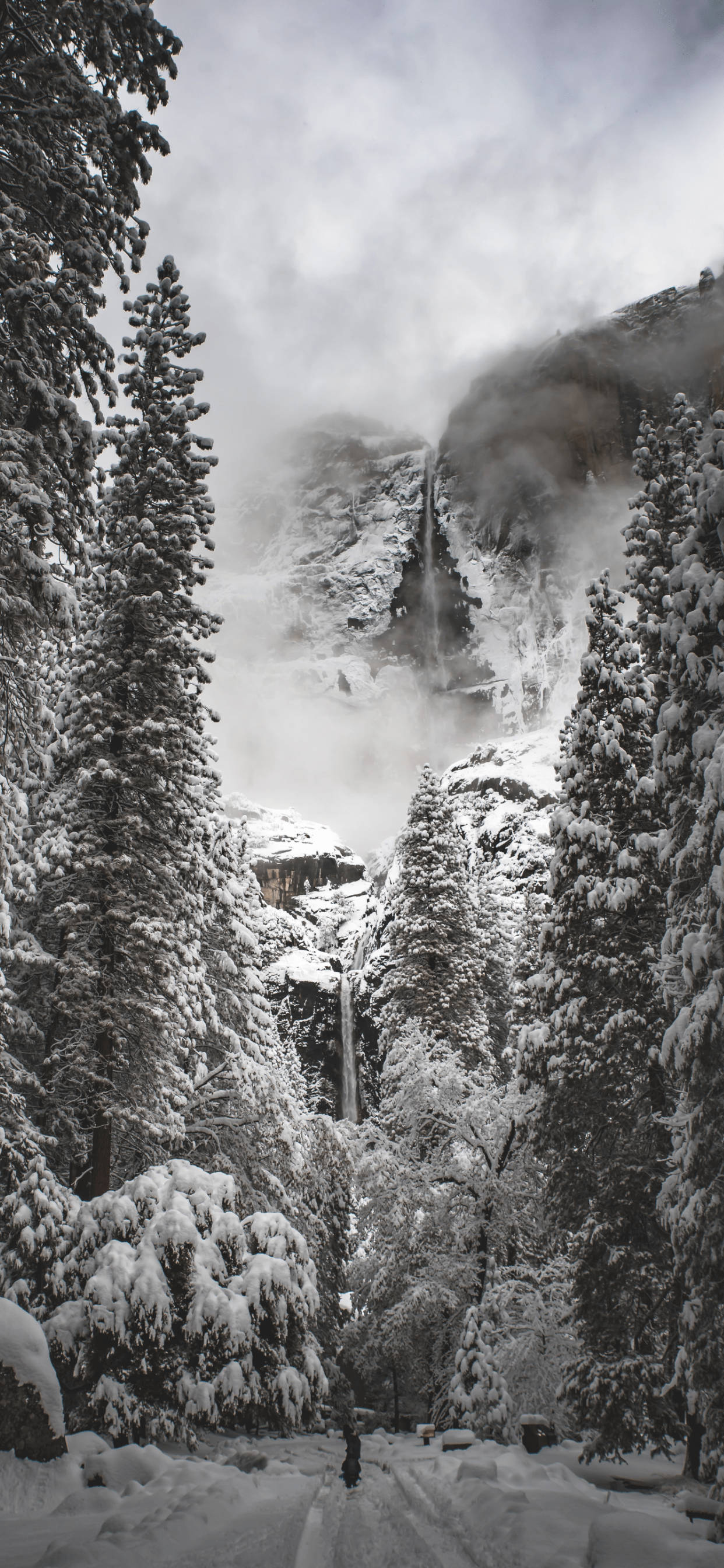 Yosemite ขาวดำบน iPhone วอลเปเปอร์