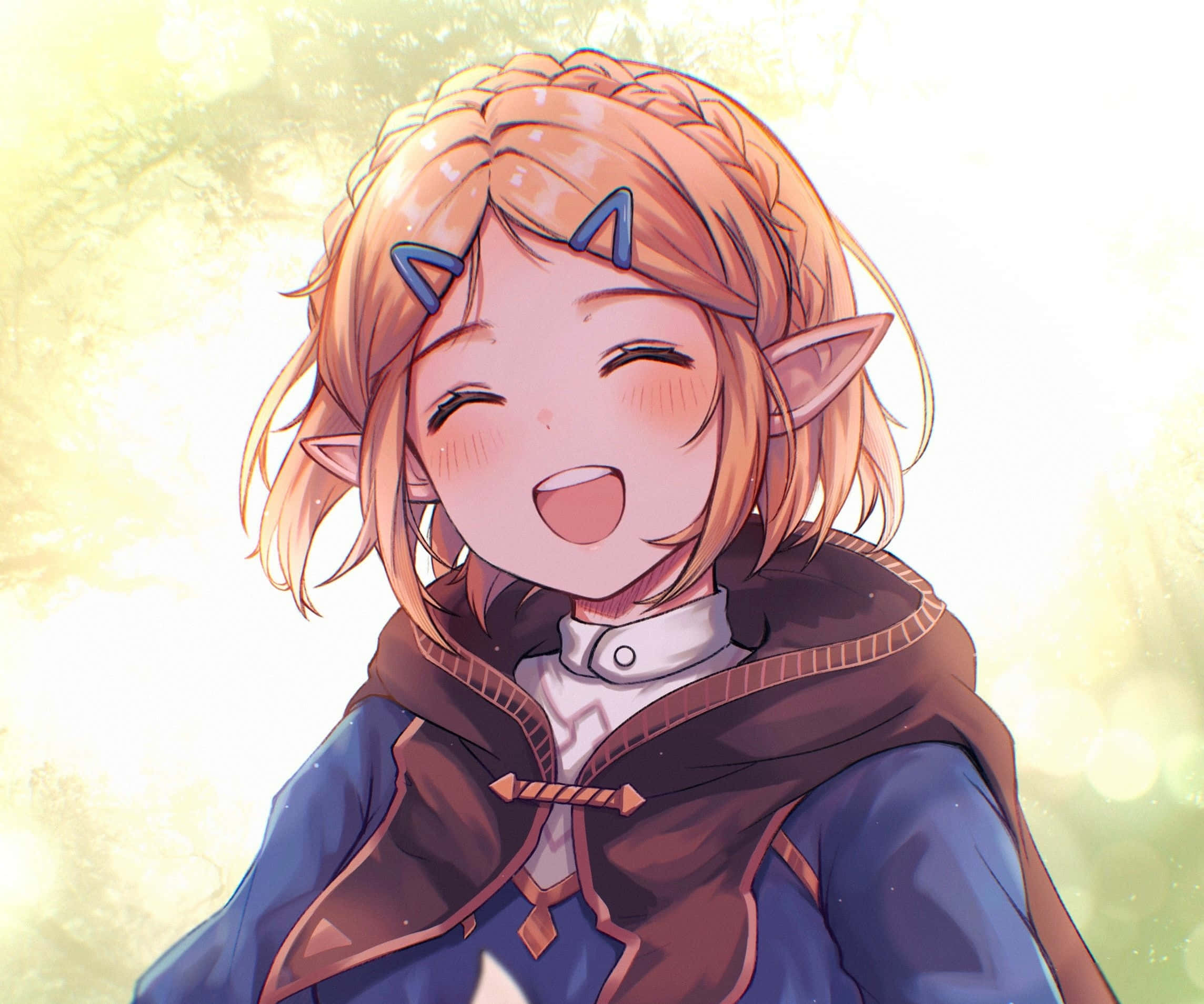 พื้นหลัง Zelda วอลเปเปอร์
