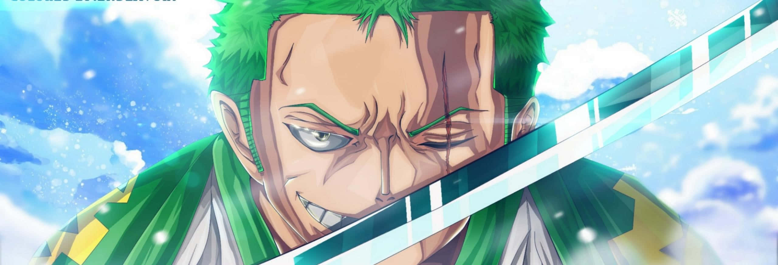 Zoro Wano ดาบแวววาว วอลเปเปอร์