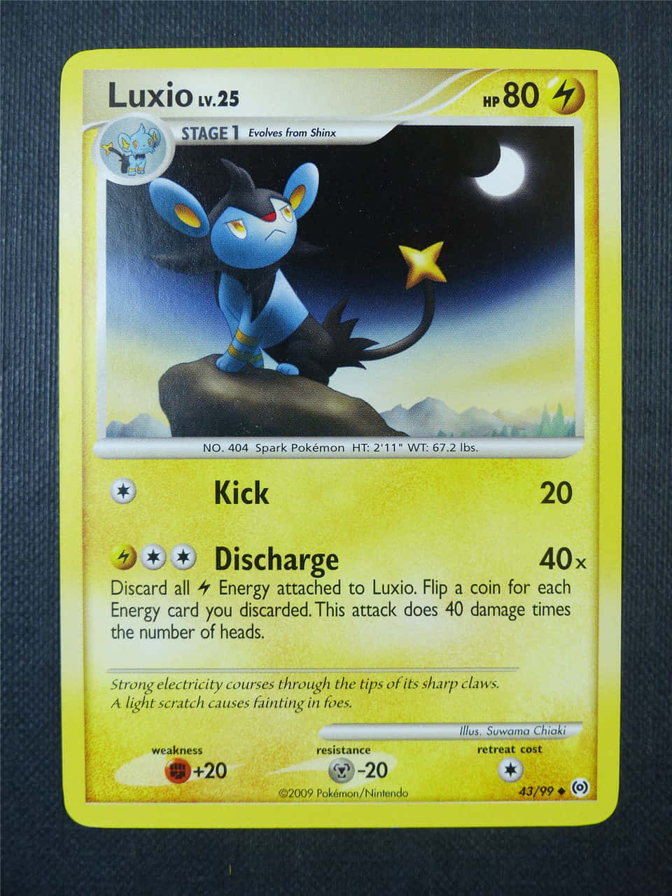การ์ดโปเกมอน Luxio พื้นหลังสีน้ำเงิน วอลเปเปอร์