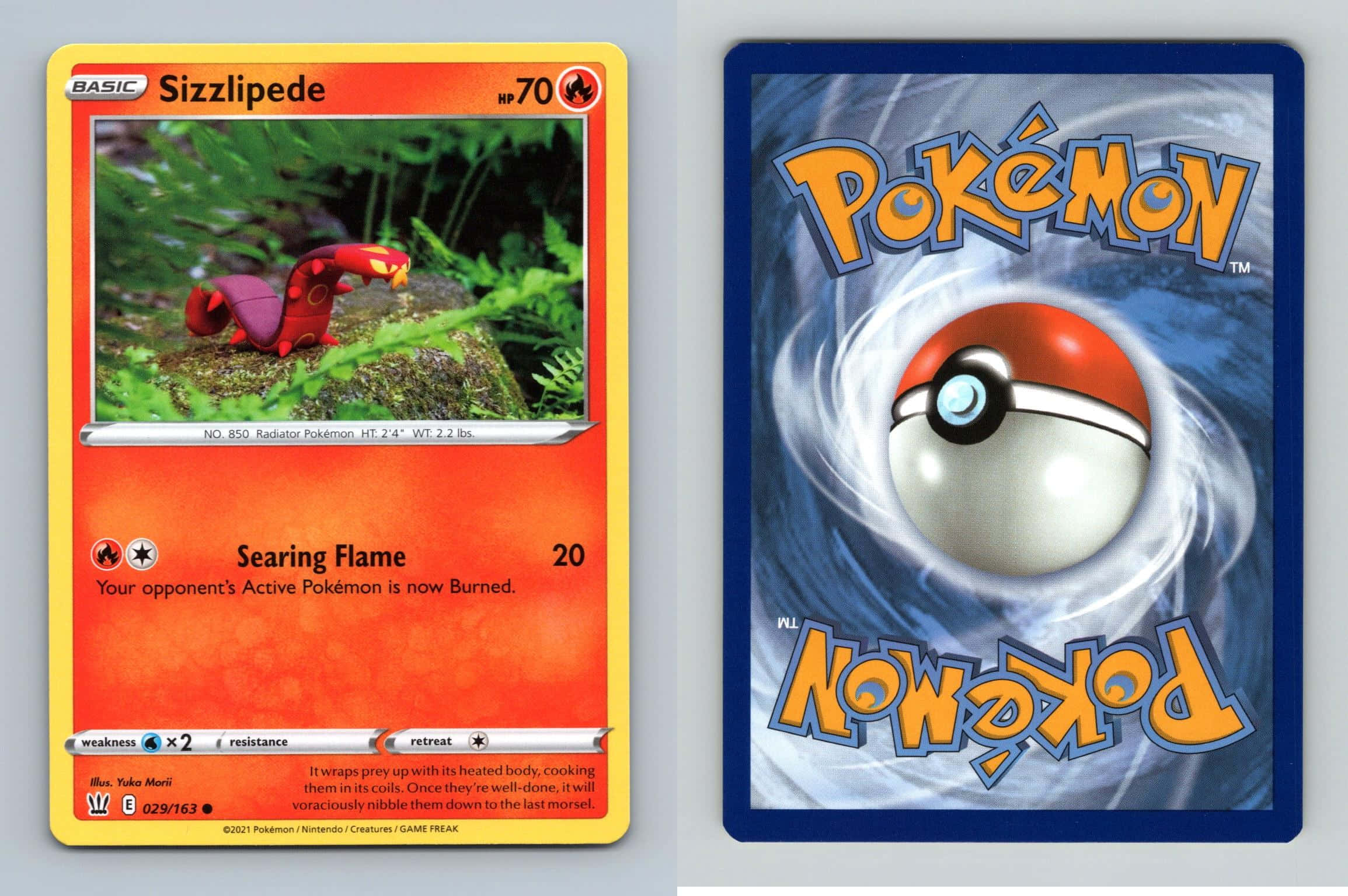 การ์ดโปเกมอน Sizzlipede หายาก วอลเปเปอร์