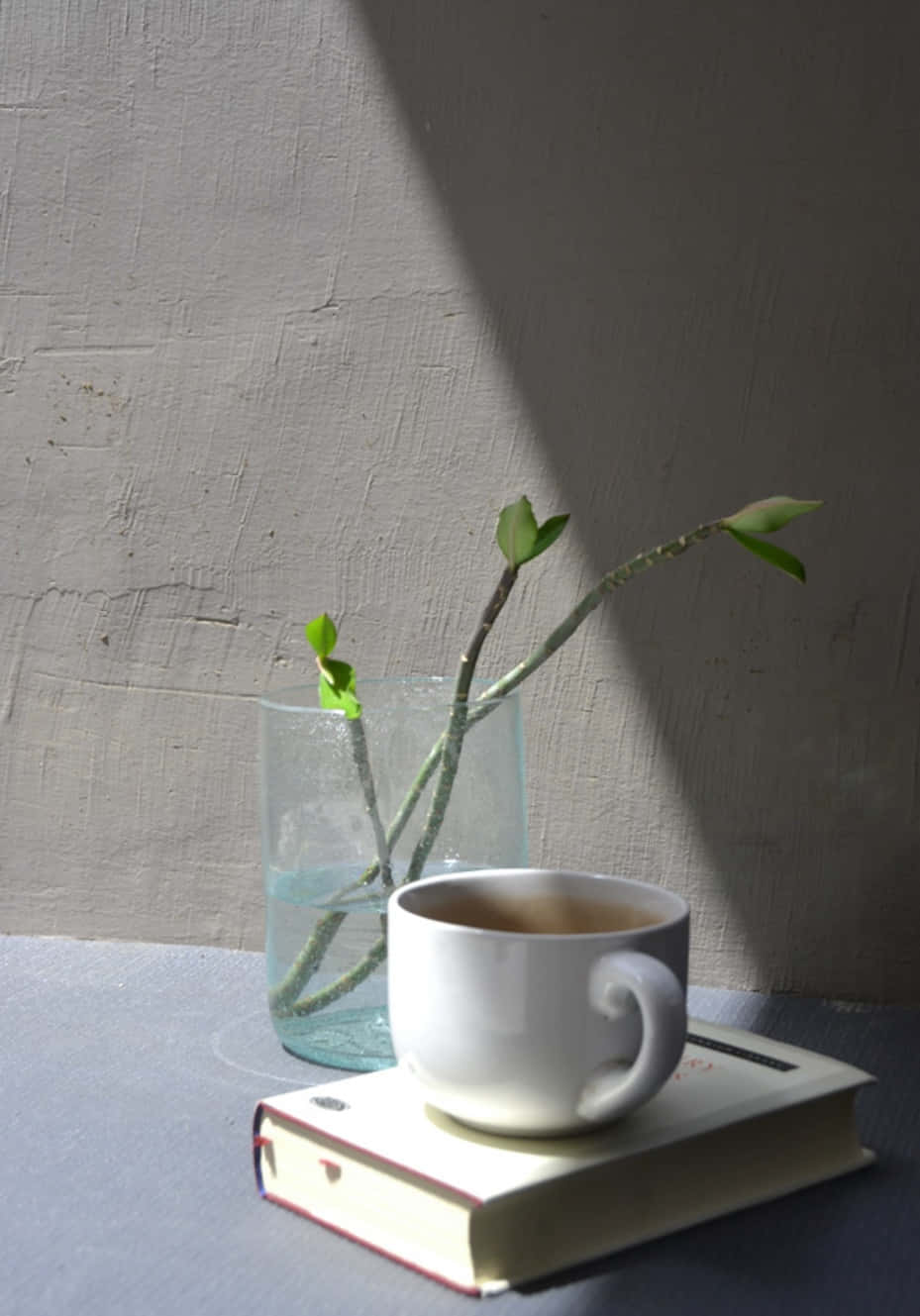 กาแฟหนึ่งแก้วและหนังสือบนโต๊ะ วอลเปเปอร์