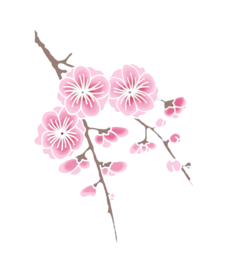 กิ่งซากุระบาน วอลเปเปอร์