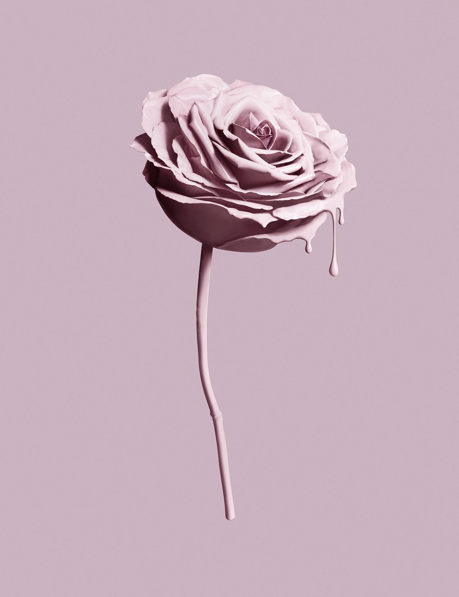 กุหลาบสีชมพูสไตล์Tumblr วอลเปเปอร์