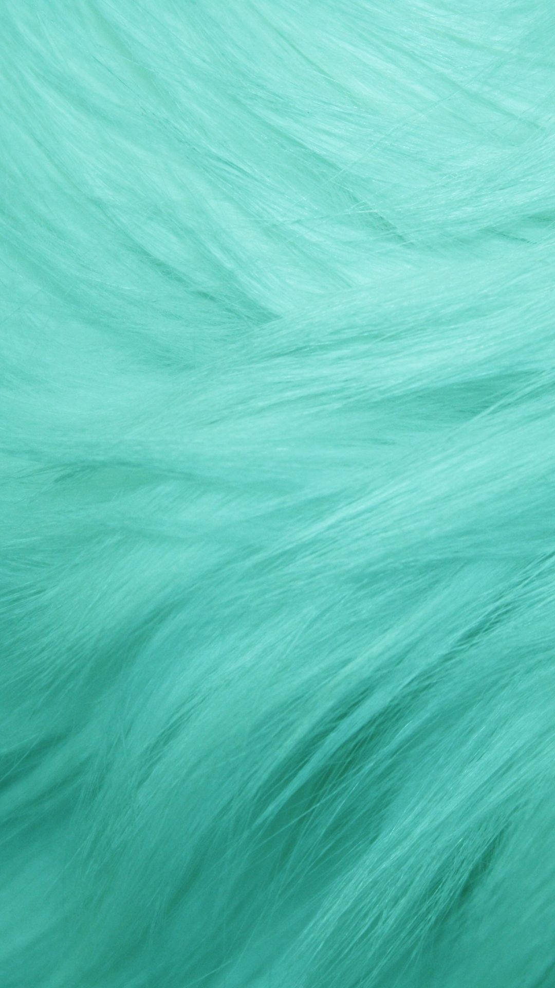 ขนนุ่มสีเขียวพาสเทล วอลเปเปอร์