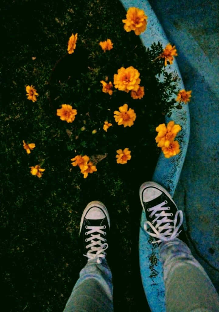 คนยืนบนทางเดินข้างถนนพร้อมดอกไม้ วอลเปเปอร์