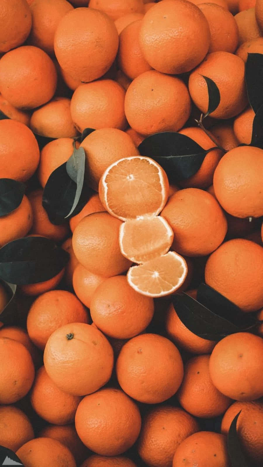 ความงามตามธรรมชาติมีหลายสี รวมถึงสีส้ม 🍊 วอลเปเปอร์