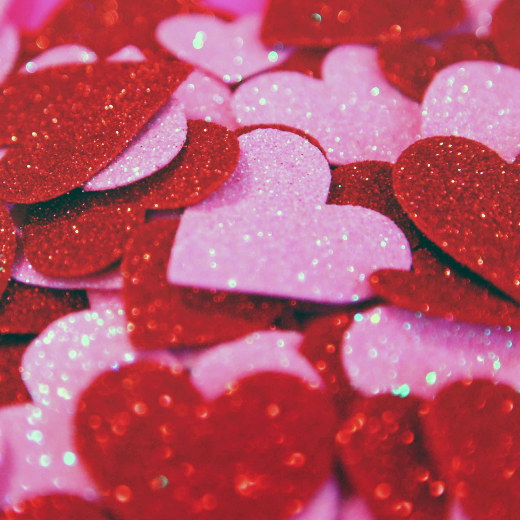 💗 ความรักอยู่รอบเรา วอลเปเปอร์