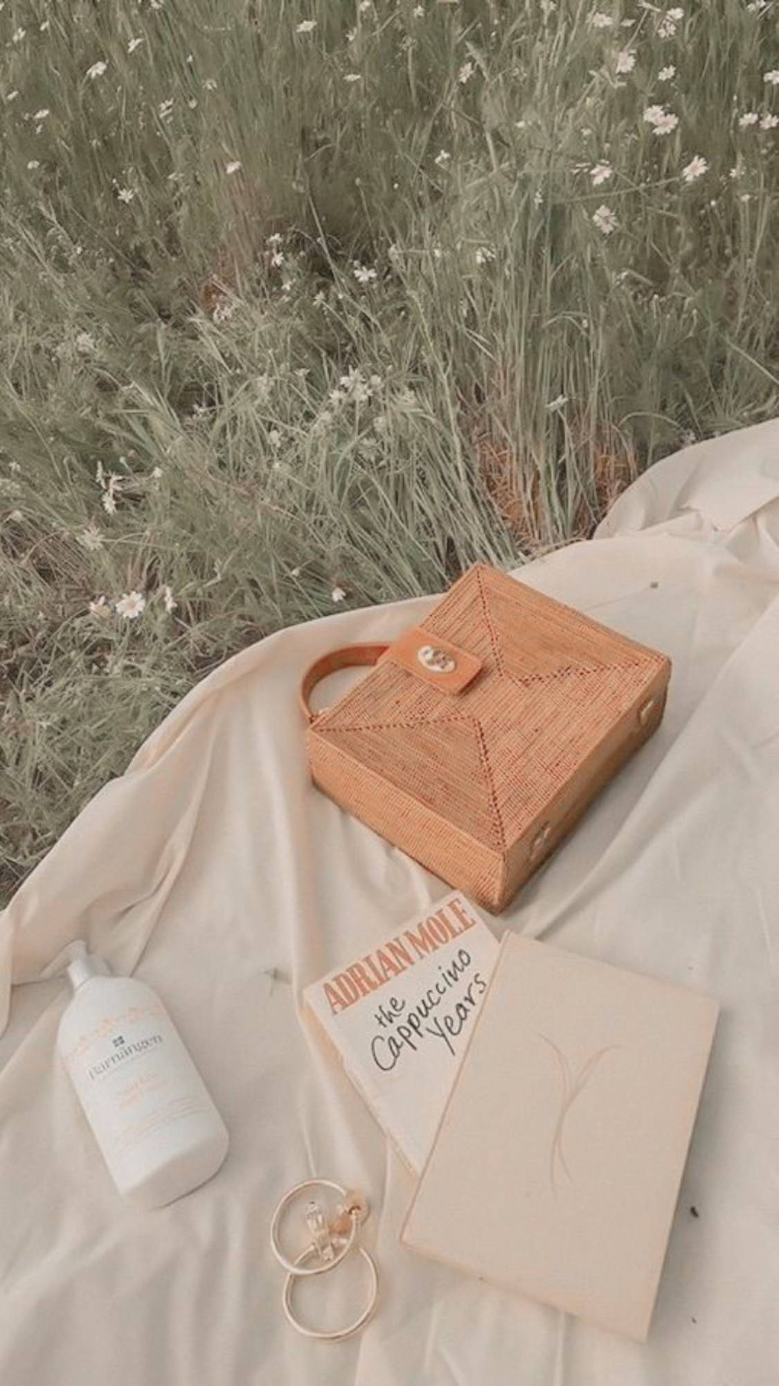 ความสง่างามอันละเอียดอ่อน - กระเป๋าและหนังสือสไตล์ Beige Aesthetic วอลเปเปอร์