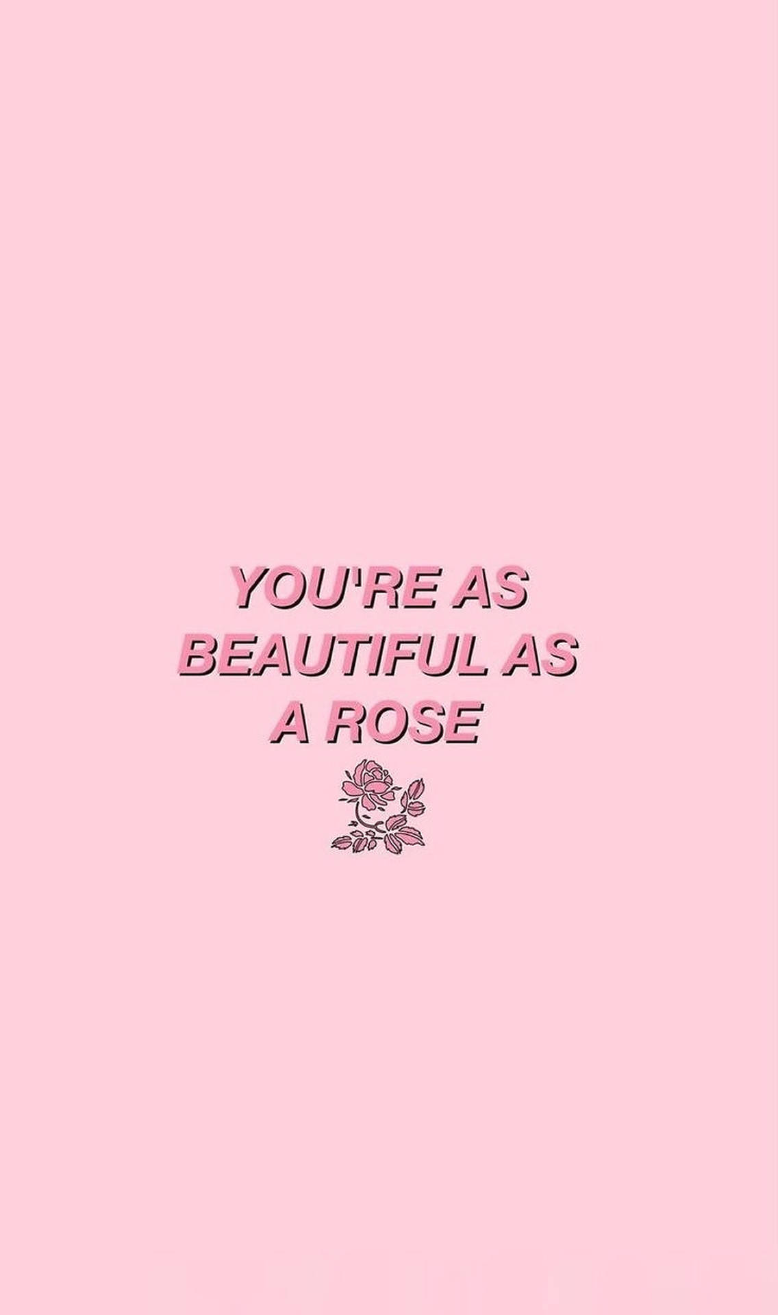 วอลเปเปอร์คำคมดอกกุหลาบสีชมพูสไตล์อีสเทติก — สุนทรียภาพคำคม GIF วอลเปเปอร์