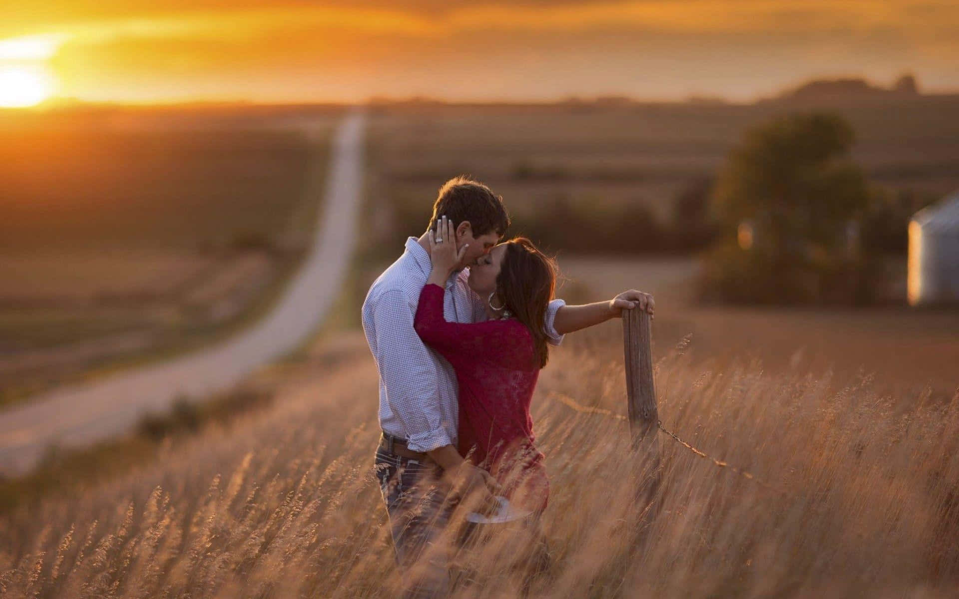 คู่รักจูบกันกลางทุ่งนา วอลเปเปอร์