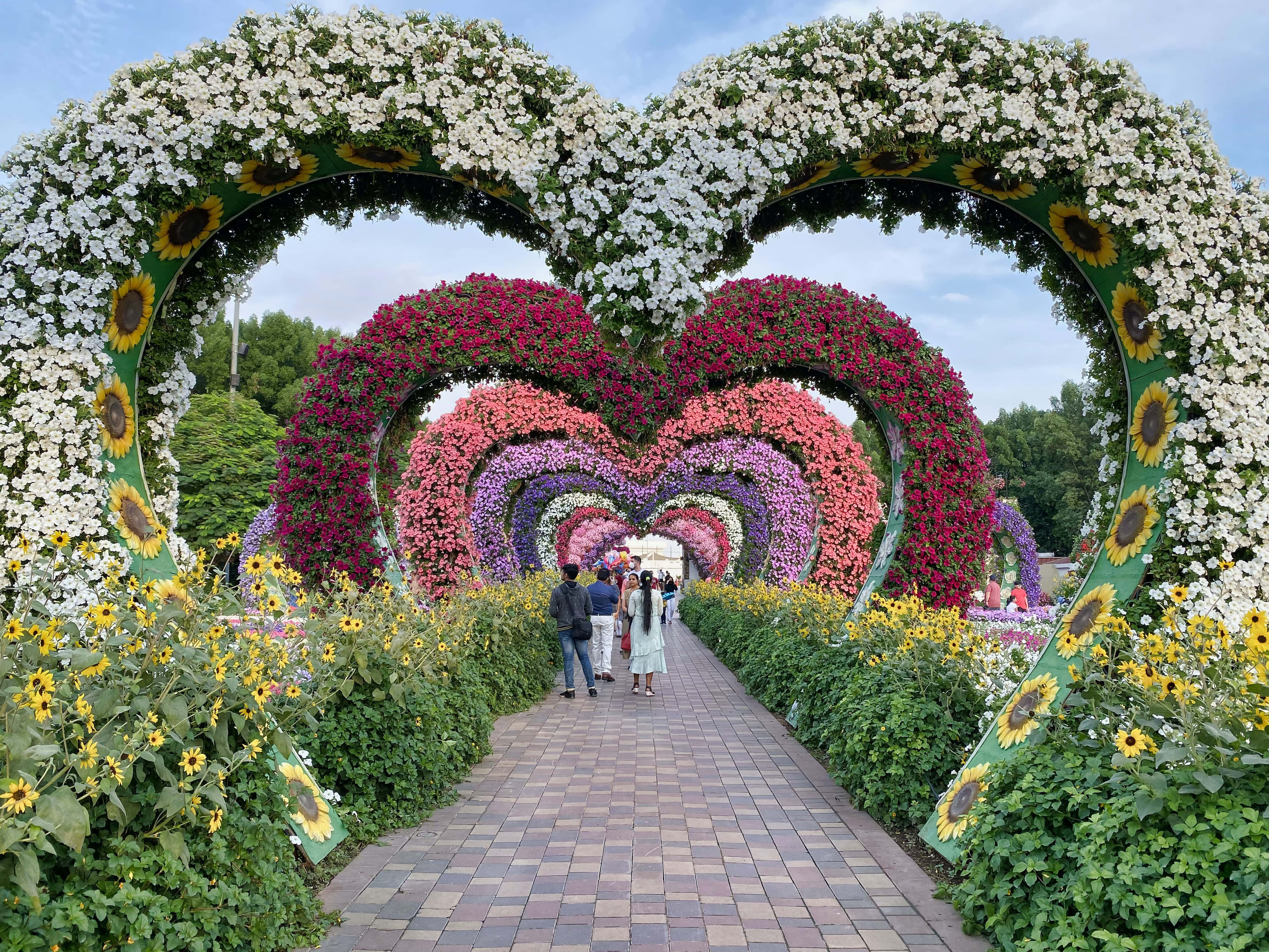 คู่รักเดินผ่านสวนที่มีซุ้มรูปหัวใจ วอลเปเปอร์