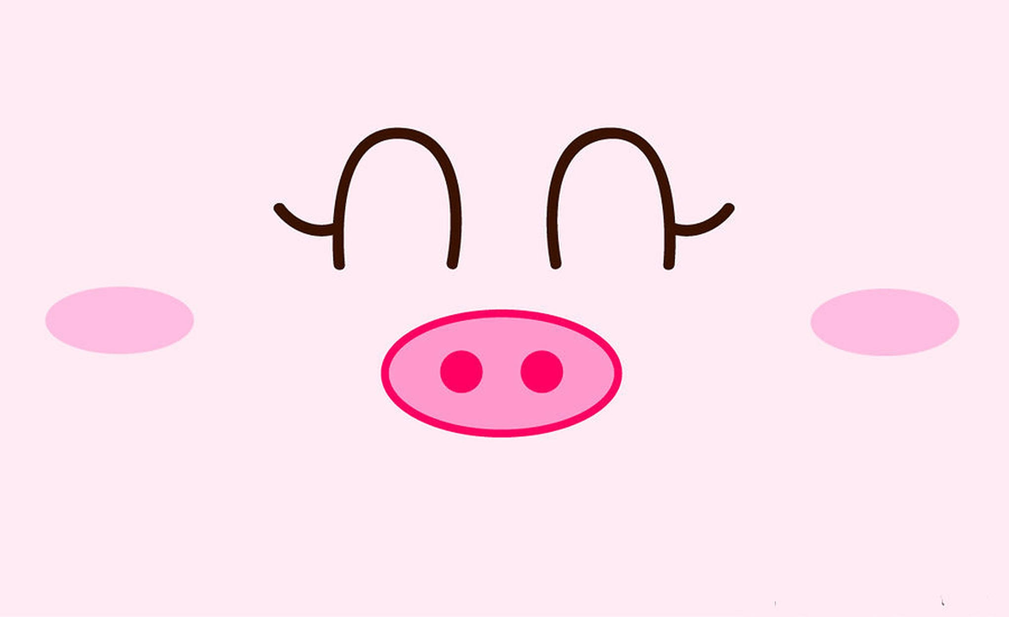 จมูกหมูน่ารัก วอลเปเปอร์