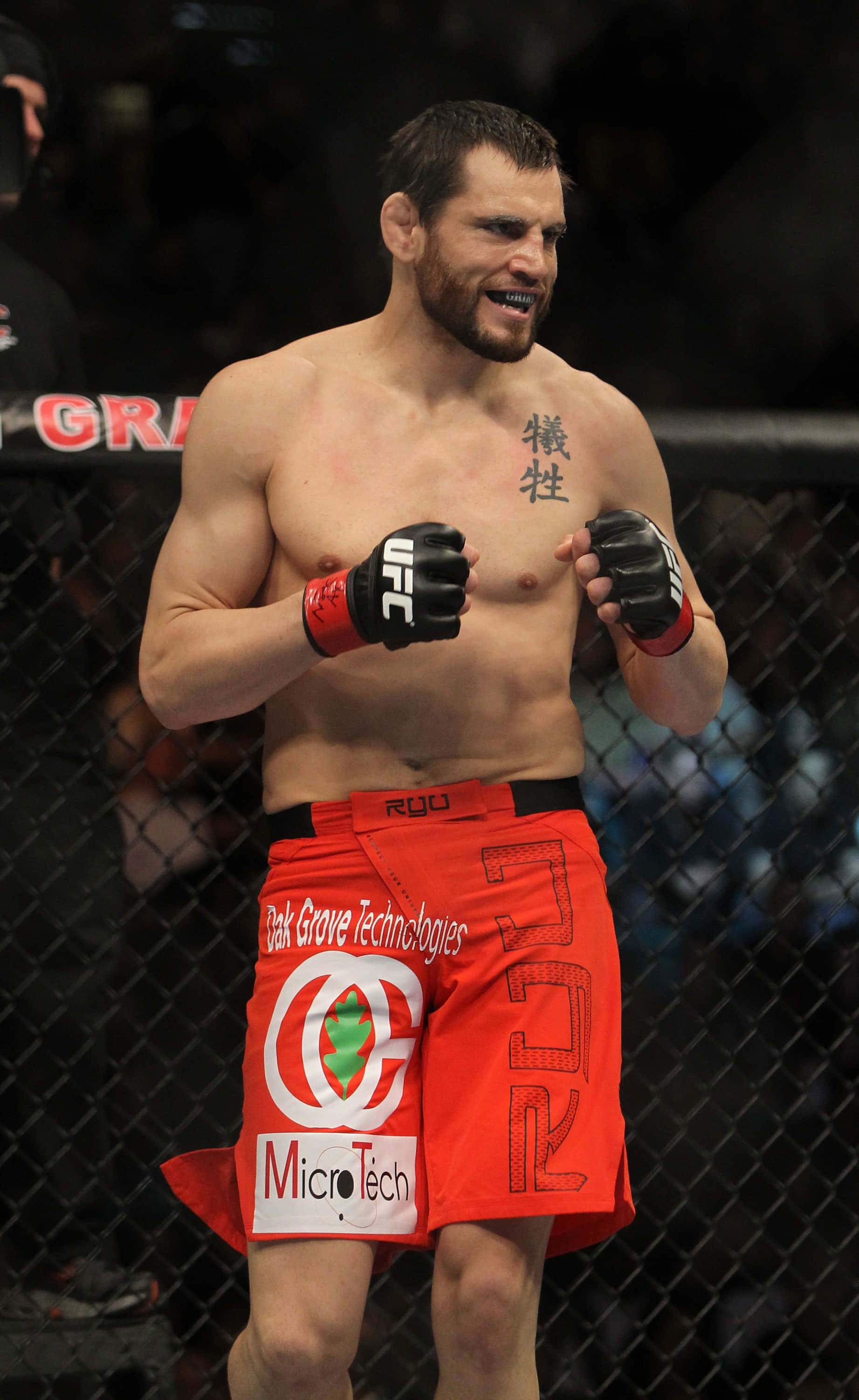จอน ฟิทช์ ยืนในแปดเหลี่ยม UFC 141 วอลเปเปอร์