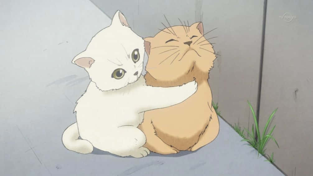 ชมภาพแมวอนิเมะขี้เล่นน่ารัก วอลเปเปอร์