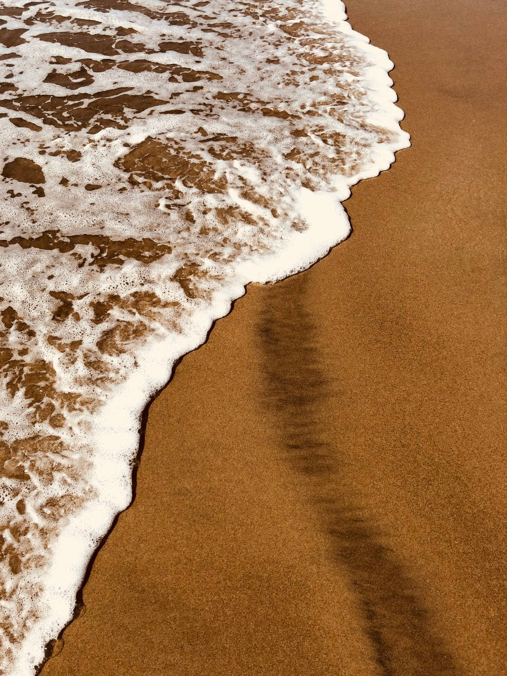 ชายหาดสวยโทนสีน้ำตาลอ่อน วอลเปเปอร์