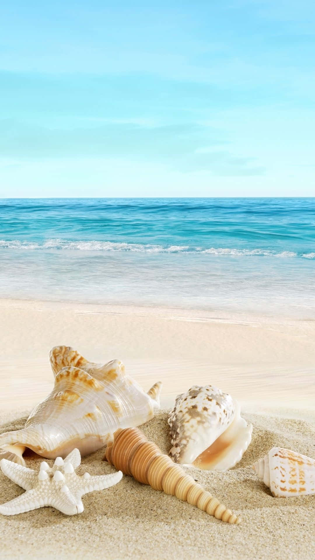 ชายหาดโทรศัพท์เปลือกหอย วอลเปเปอร์