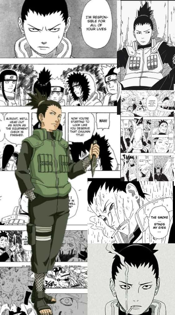 ชิคามารุ สตันท์ อาร์ต เอสเธติก วอลเปเปอร์