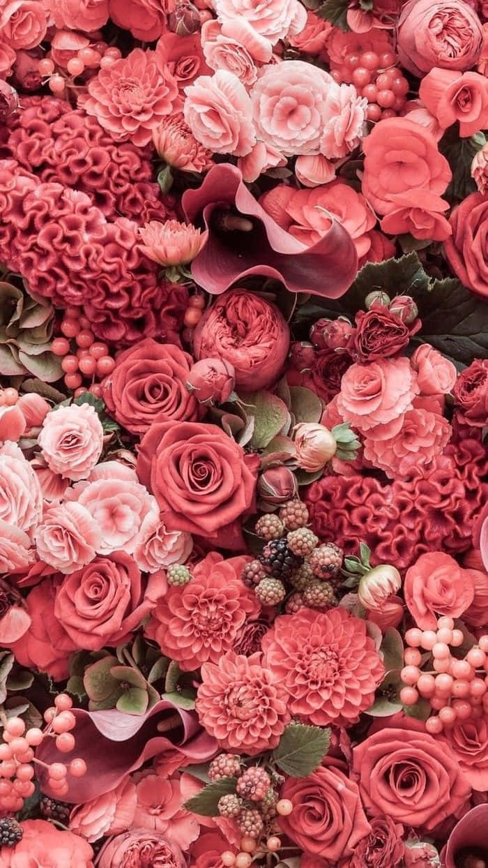 ช่อดอกไม้สีชมพูสดใส วอลเปเปอร์