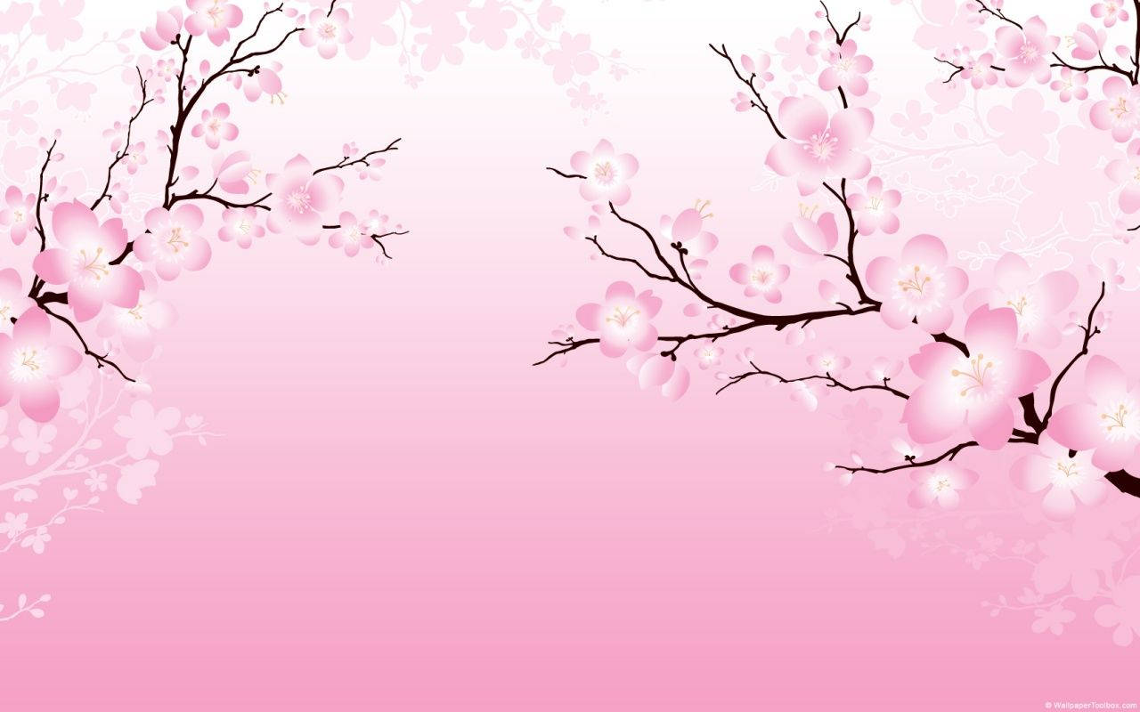 วอลเปเปอร์ซากุระสไตล์ 2D — ซากุระ วอลเปเปอร์