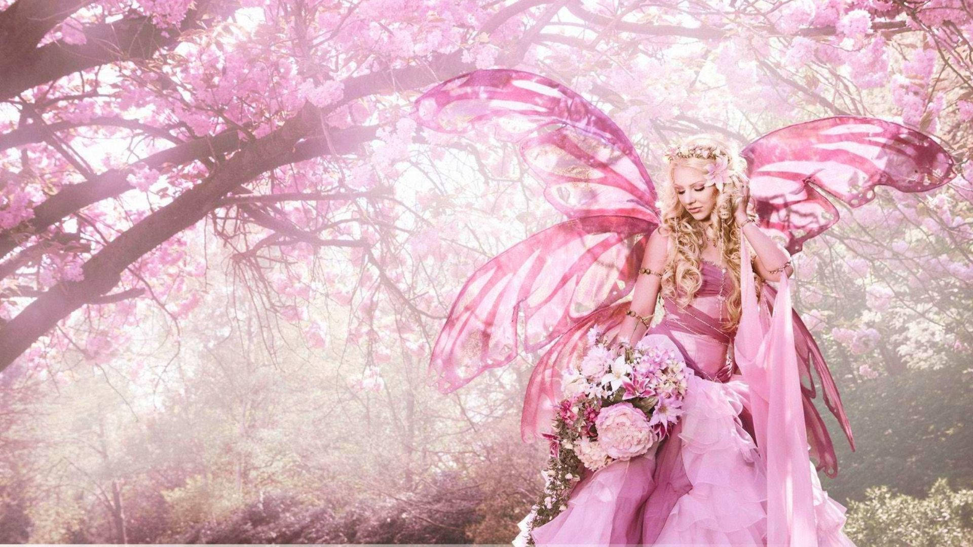 ซากุระแฟรี่สไตล์สวยงาม วอลเปเปอร์