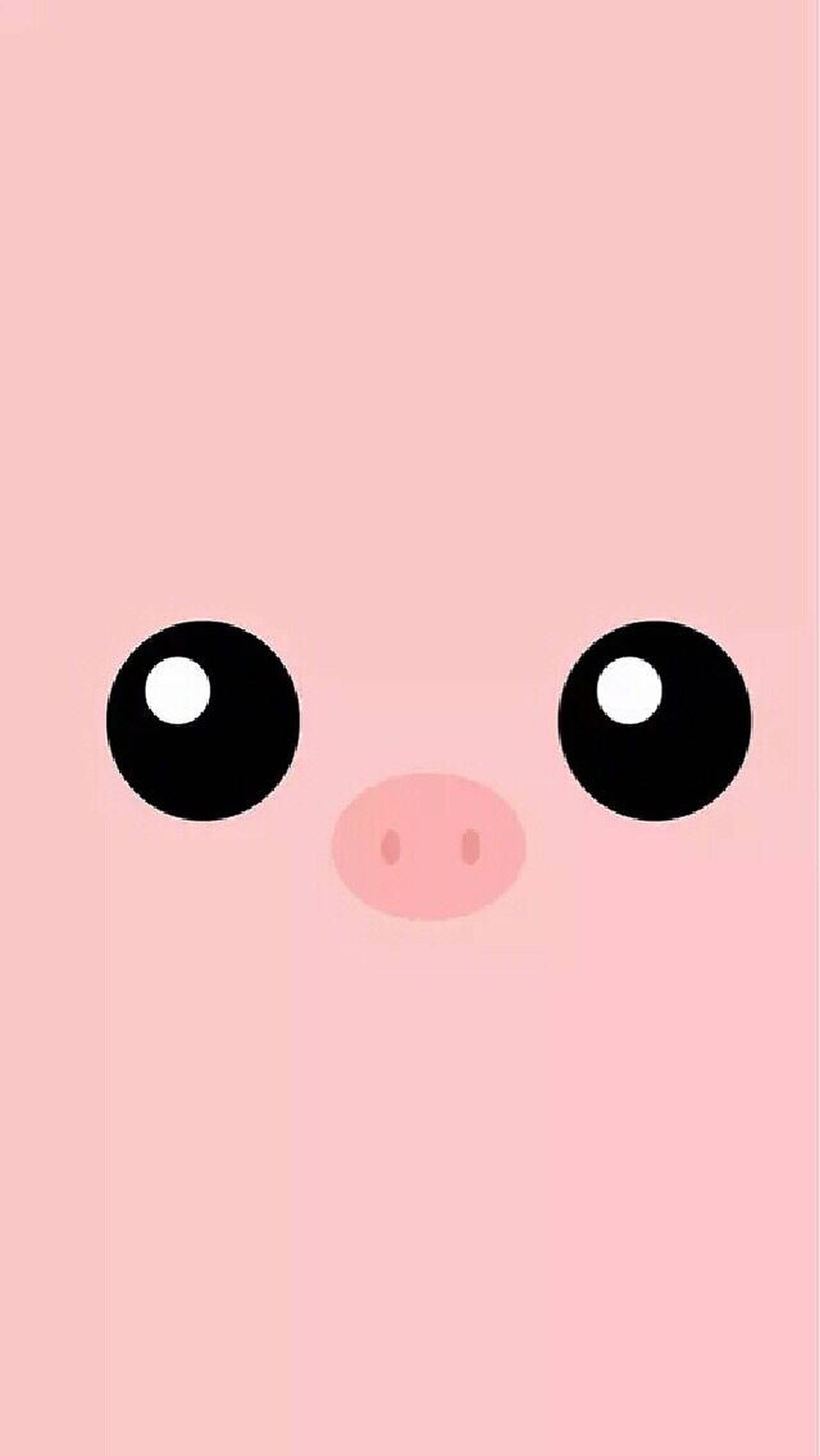 ดวงตาและจมูกหมูน่ารัก วอลเปเปอร์
