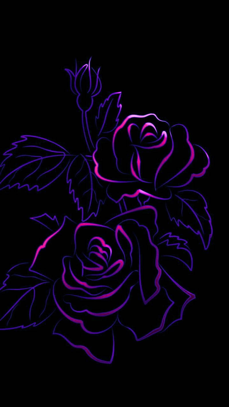 ดอกกุหลาบสีม่วงเข้มสไตล์อาร์ต วอลเปเปอร์