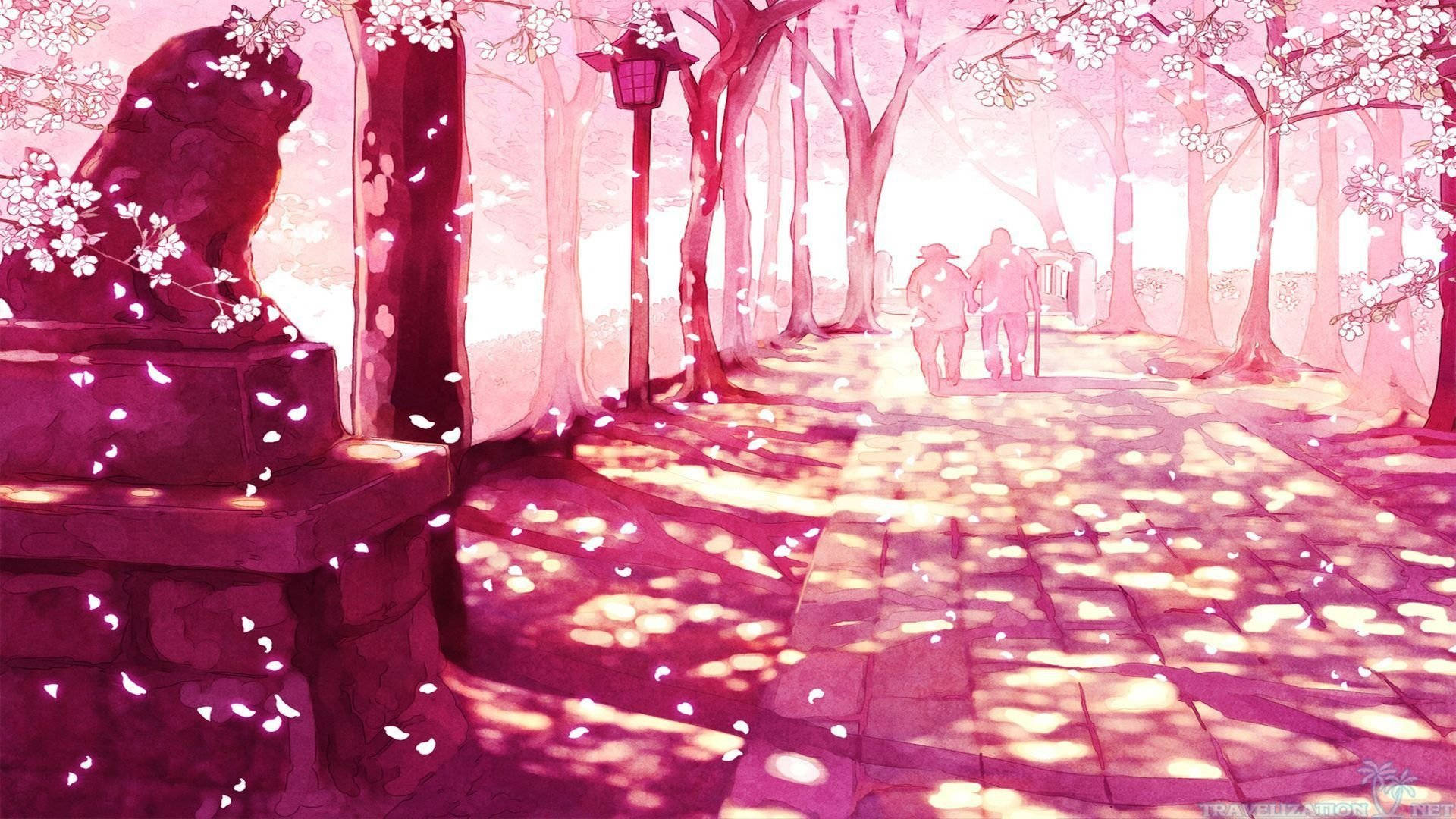 ดอกซากุระศิลปะสุนทรียะ วอลเปเปอร์
