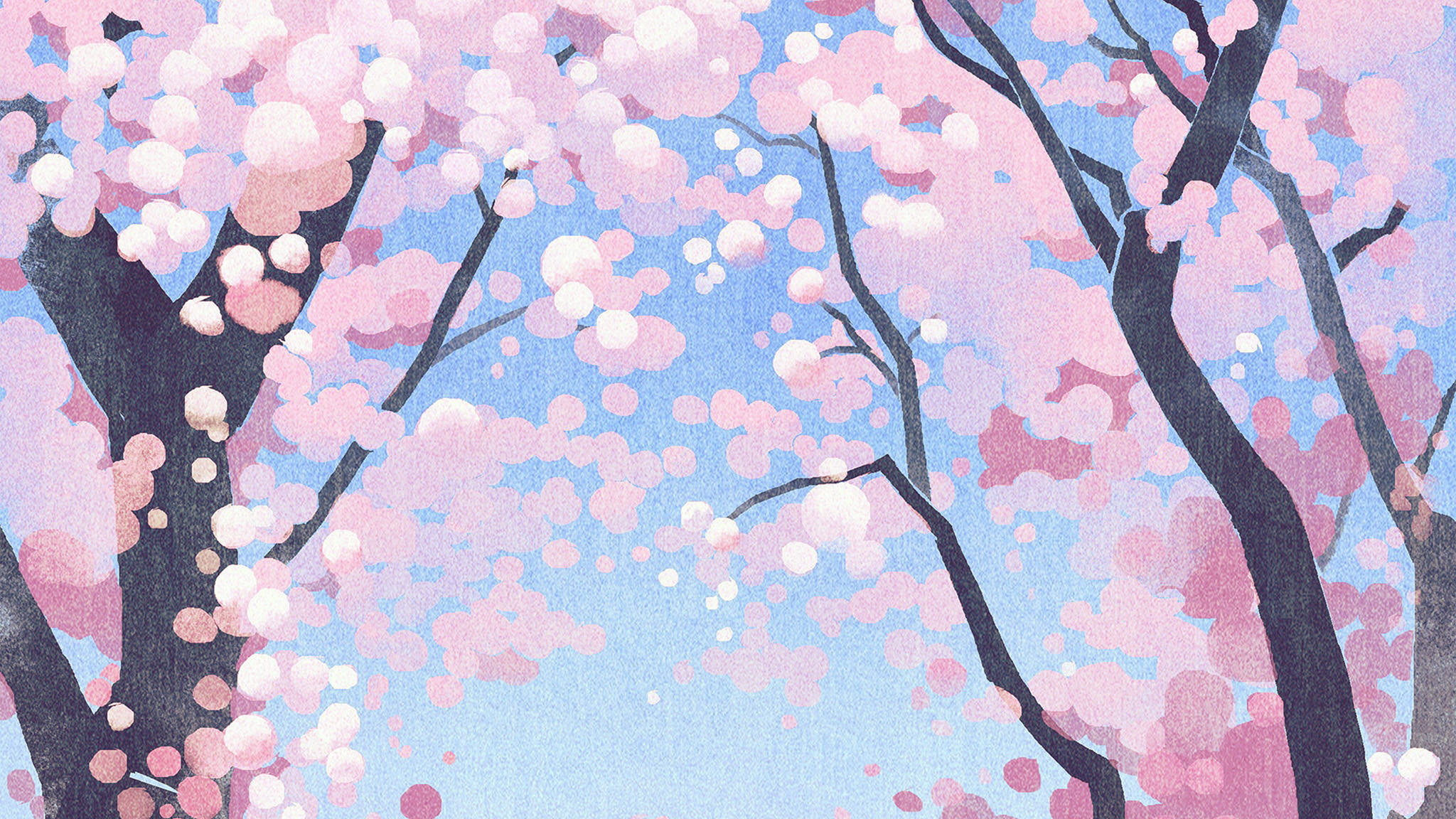 ดอกซากุระสีชมพูน่ารัก วอลเปเปอร์