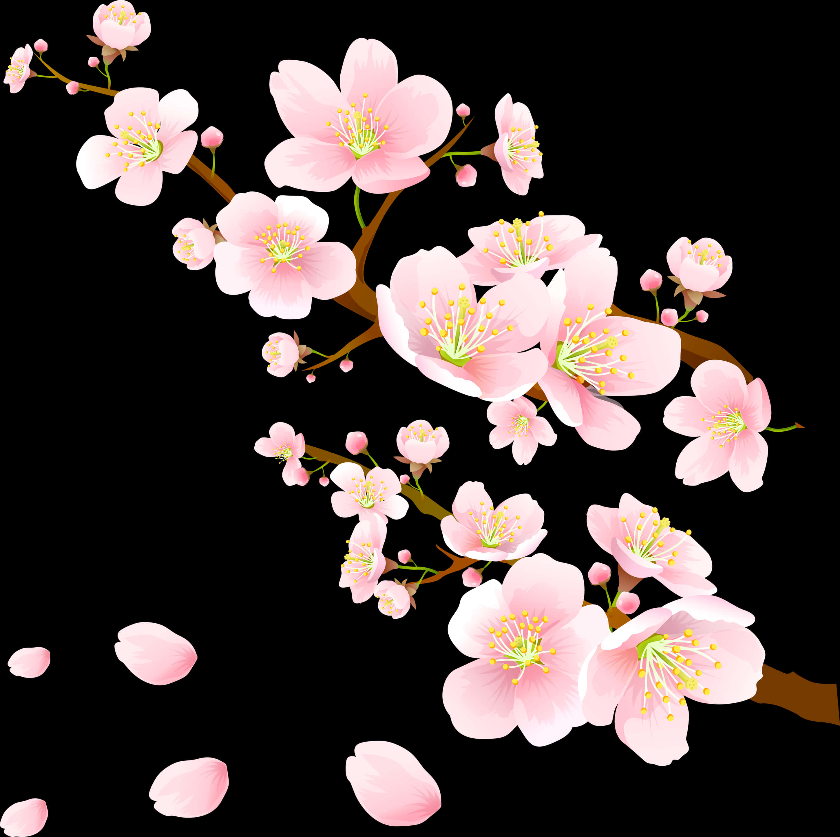 ดอกซากุระสีชมพูบานสะพรั่ง วอลเปเปอร์