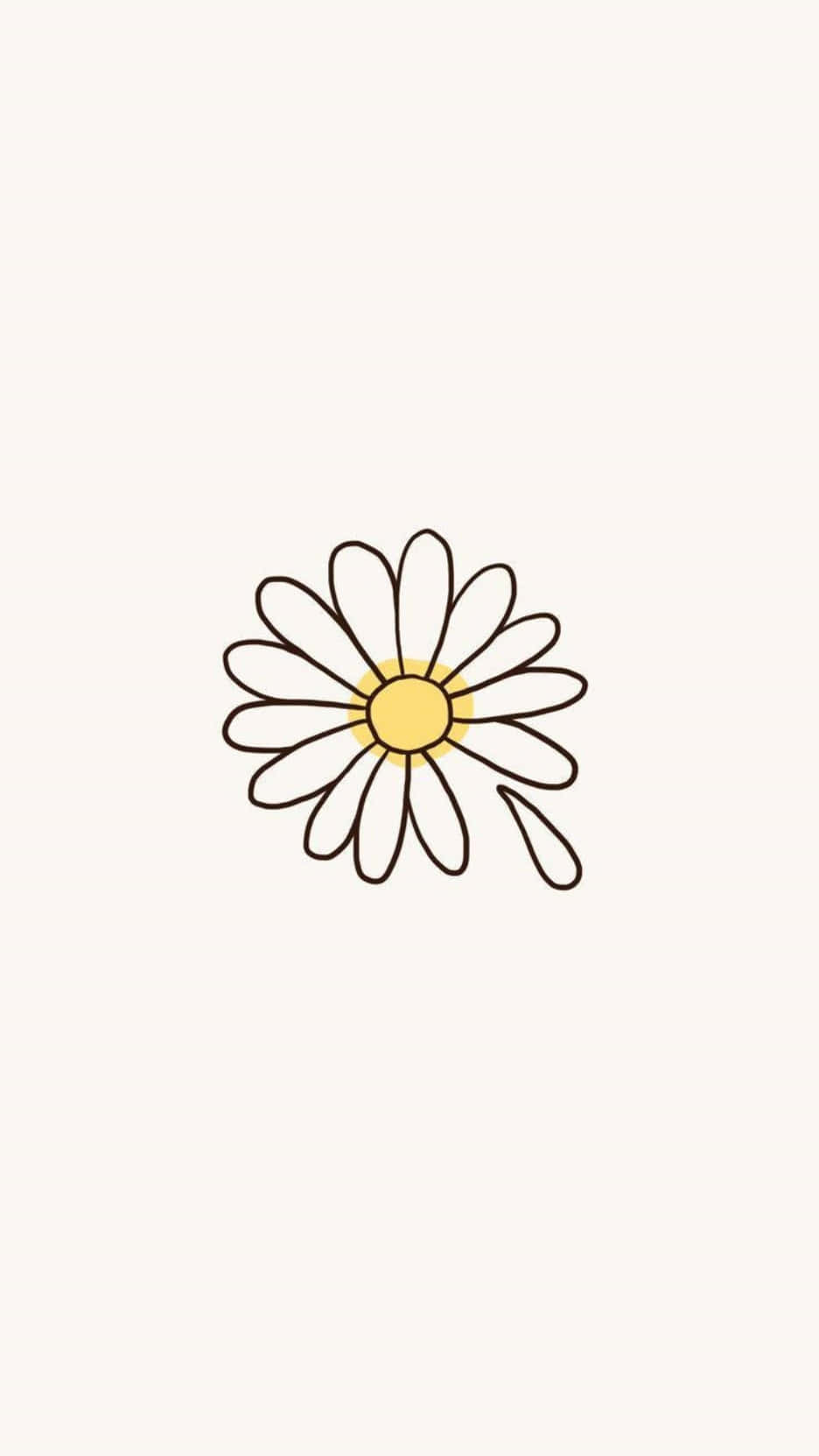 ดอกเดซี่วาดบนพื้นหลังสีขาว วอลเปเปอร์