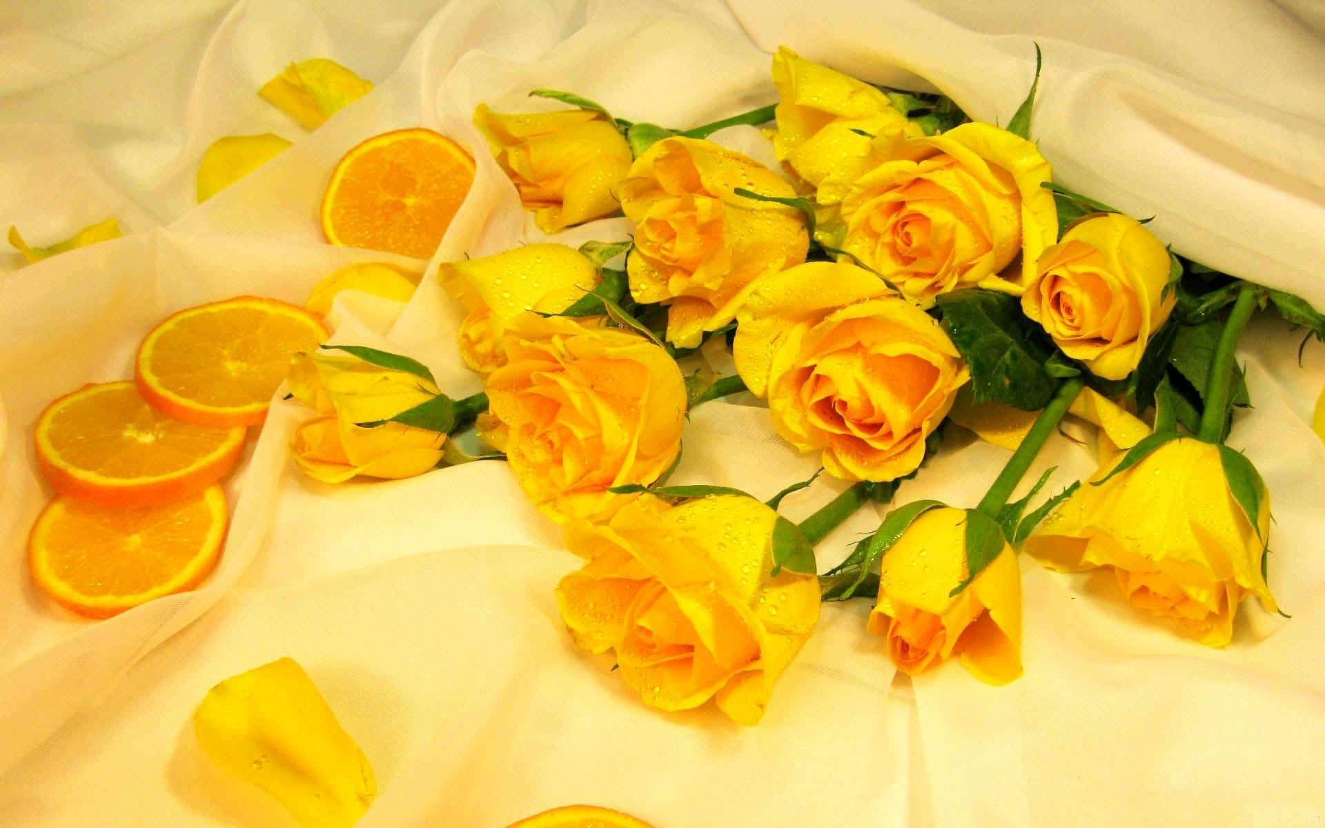 ดอกแดนดิไลออนสีเหลืองบนคอมพิวเตอร์ วอลเปเปอร์