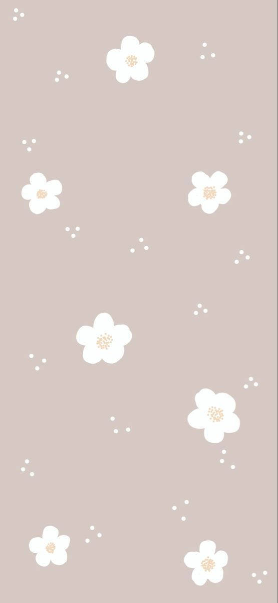 ดอกไม้สีขาวน่ารักเรียบง่ายไม่มีก้าน วอลเปเปอร์