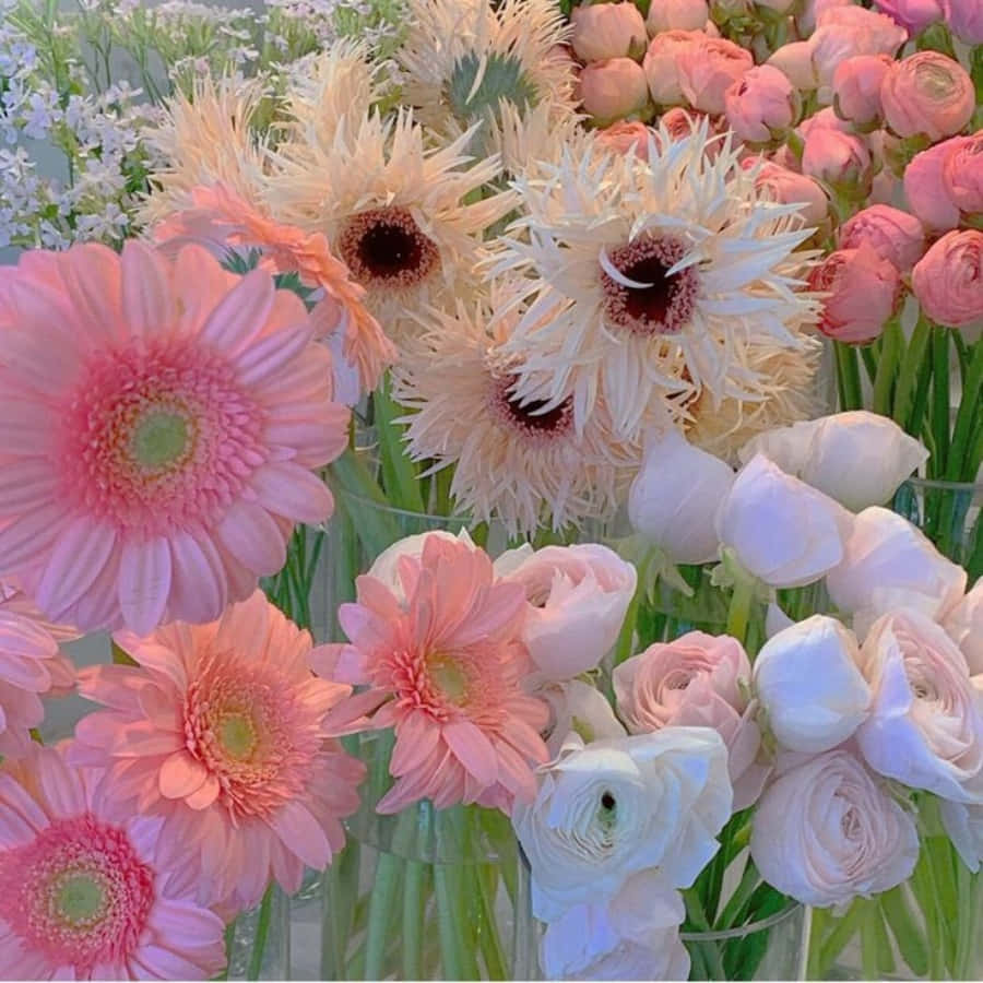 ดอกไม้สีขาวและชมพูสวยงามที่เบ่งบานในช่วงฤดูร้อน วอลเปเปอร์
