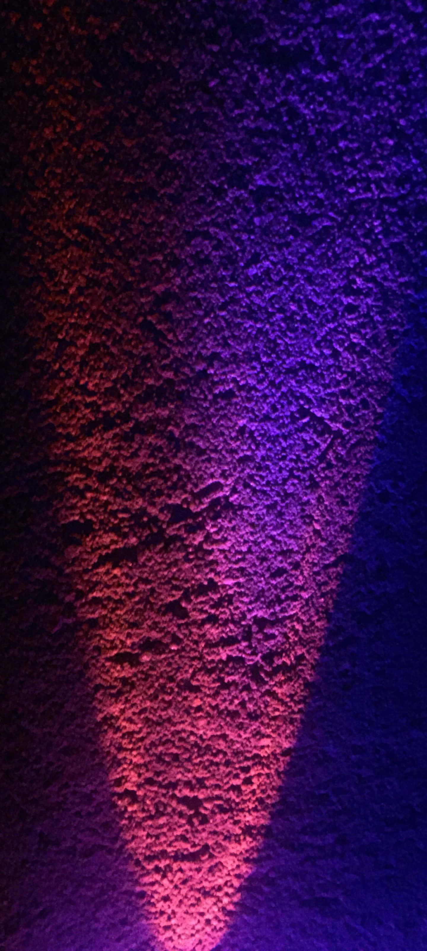 ดอกไม้สีแดงในทุ่งหญ้าเขียวขจี วอลเปเปอร์