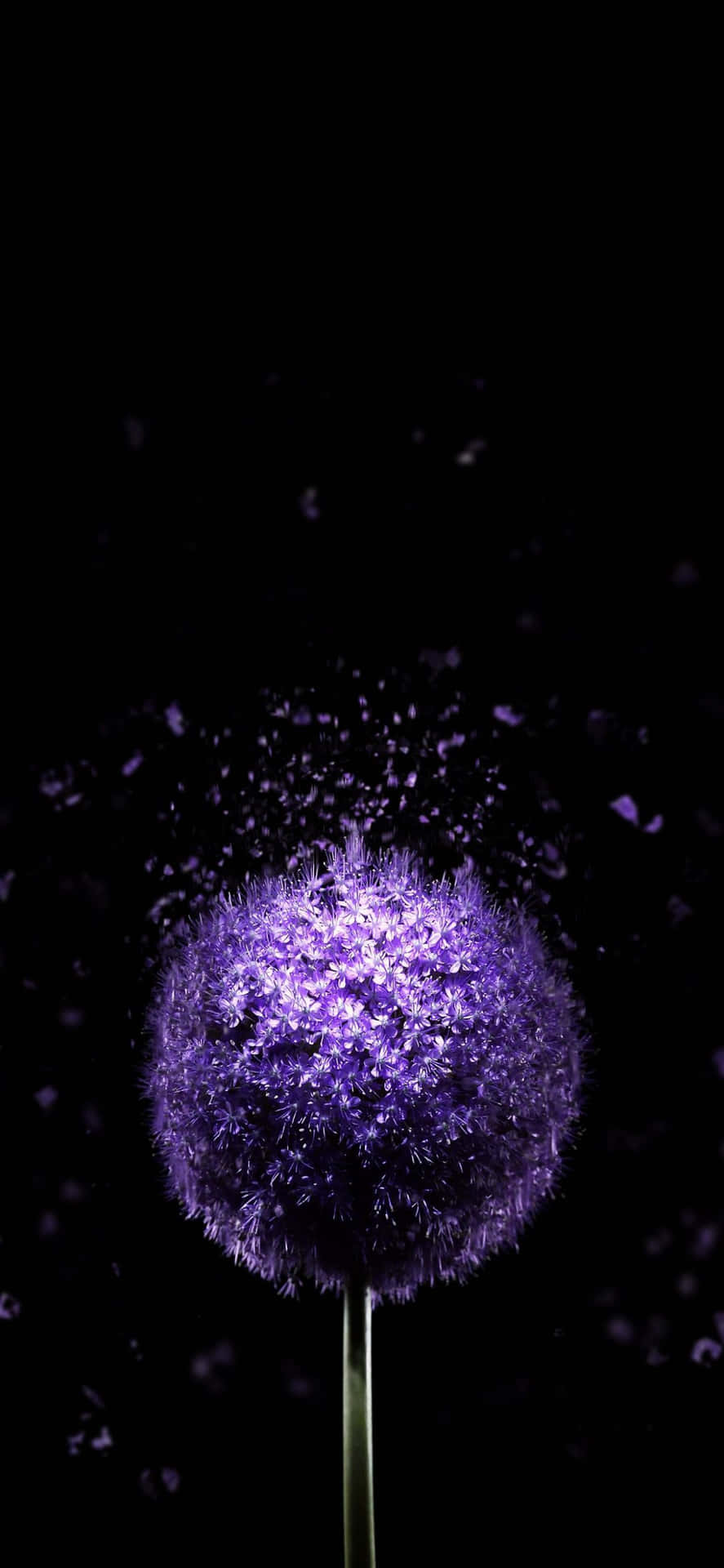 พื้นหลัง iPhone 13 — ไอโฟน 13 GIF วอลเปเปอร์